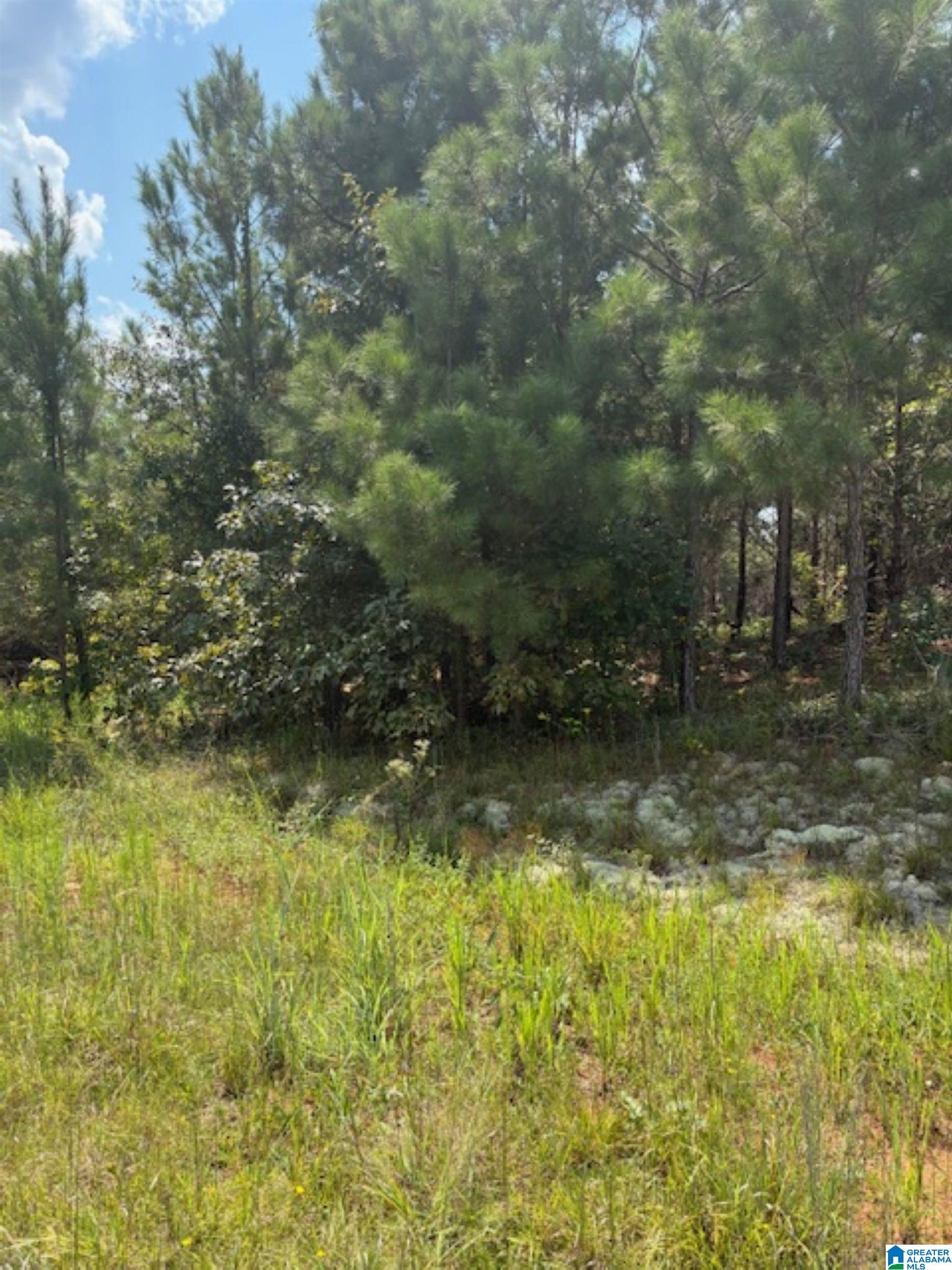 COUNTY ROAD 472 3 - Photo 3