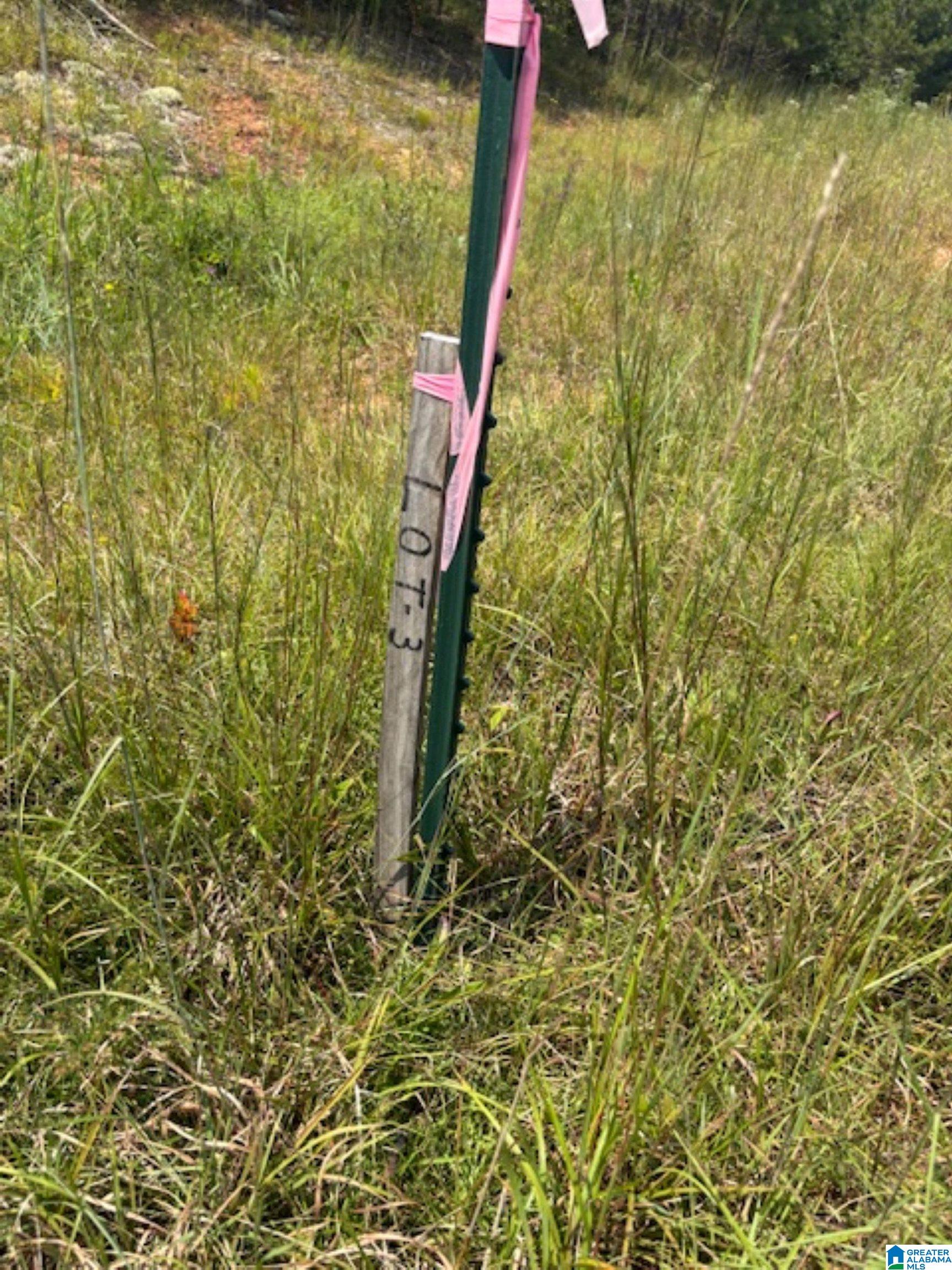 COUNTY ROAD 472 3 - Photo 4