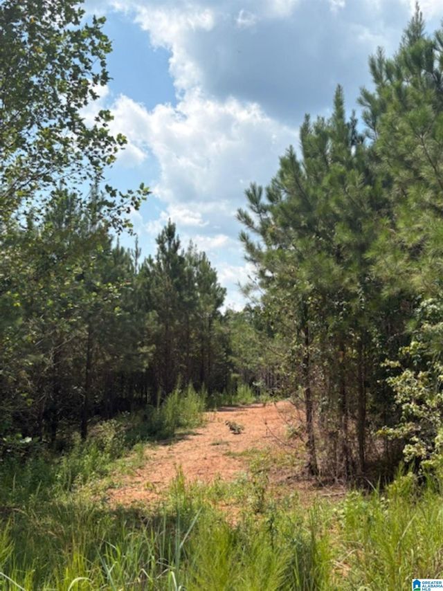 COUNTY ROAD 472 3