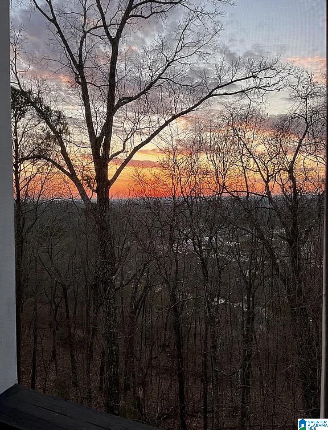 1003 MORNING SUN DRIVE 1003