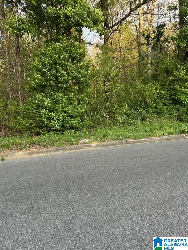 0 DRUMMOND AVENUE Lot 1