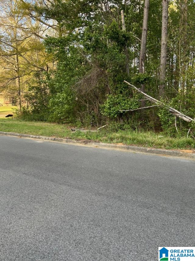 0 DRUMMOND AVENUE Lot 1