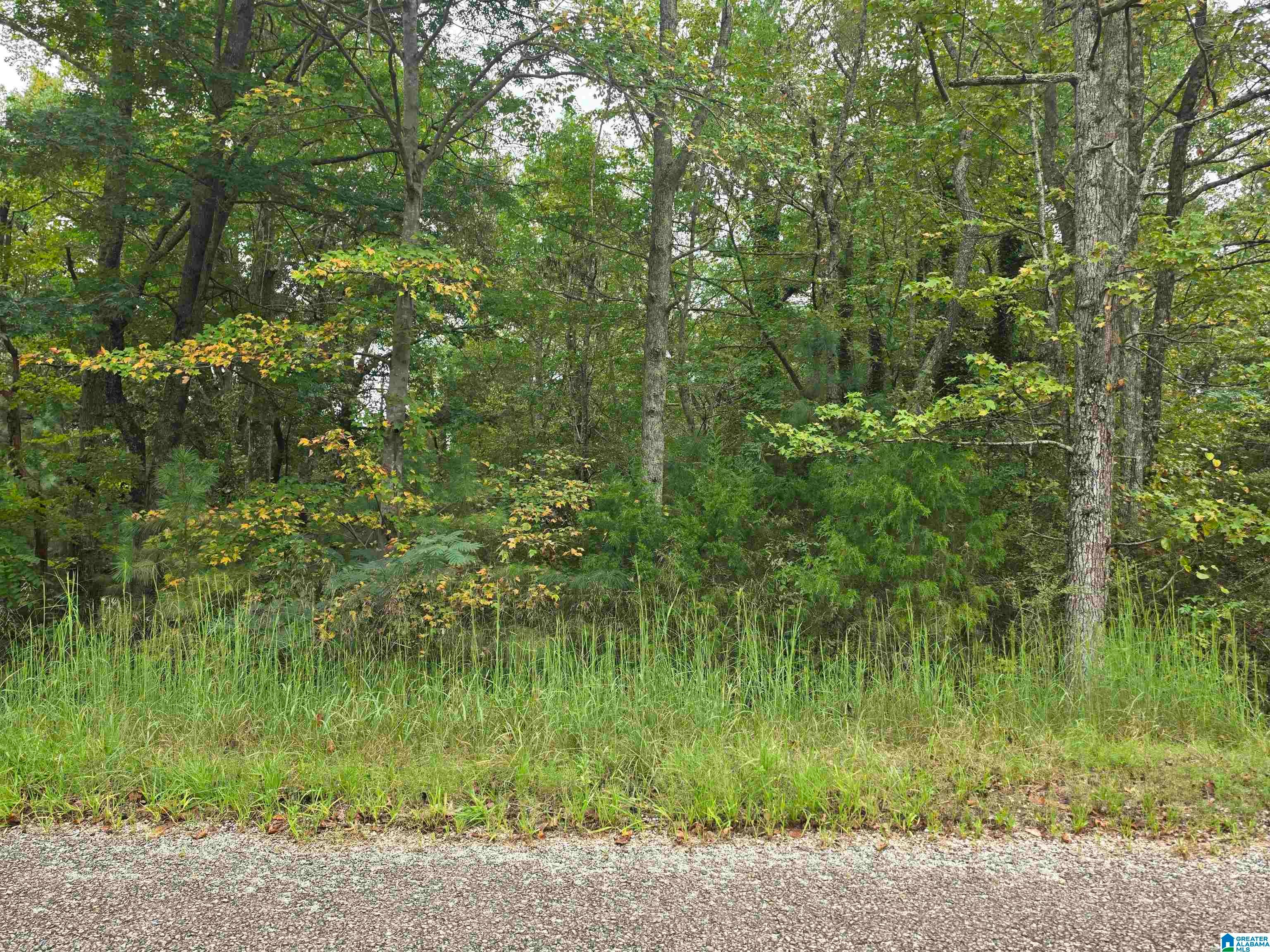 UNKN COUNTY ROAD 5 1