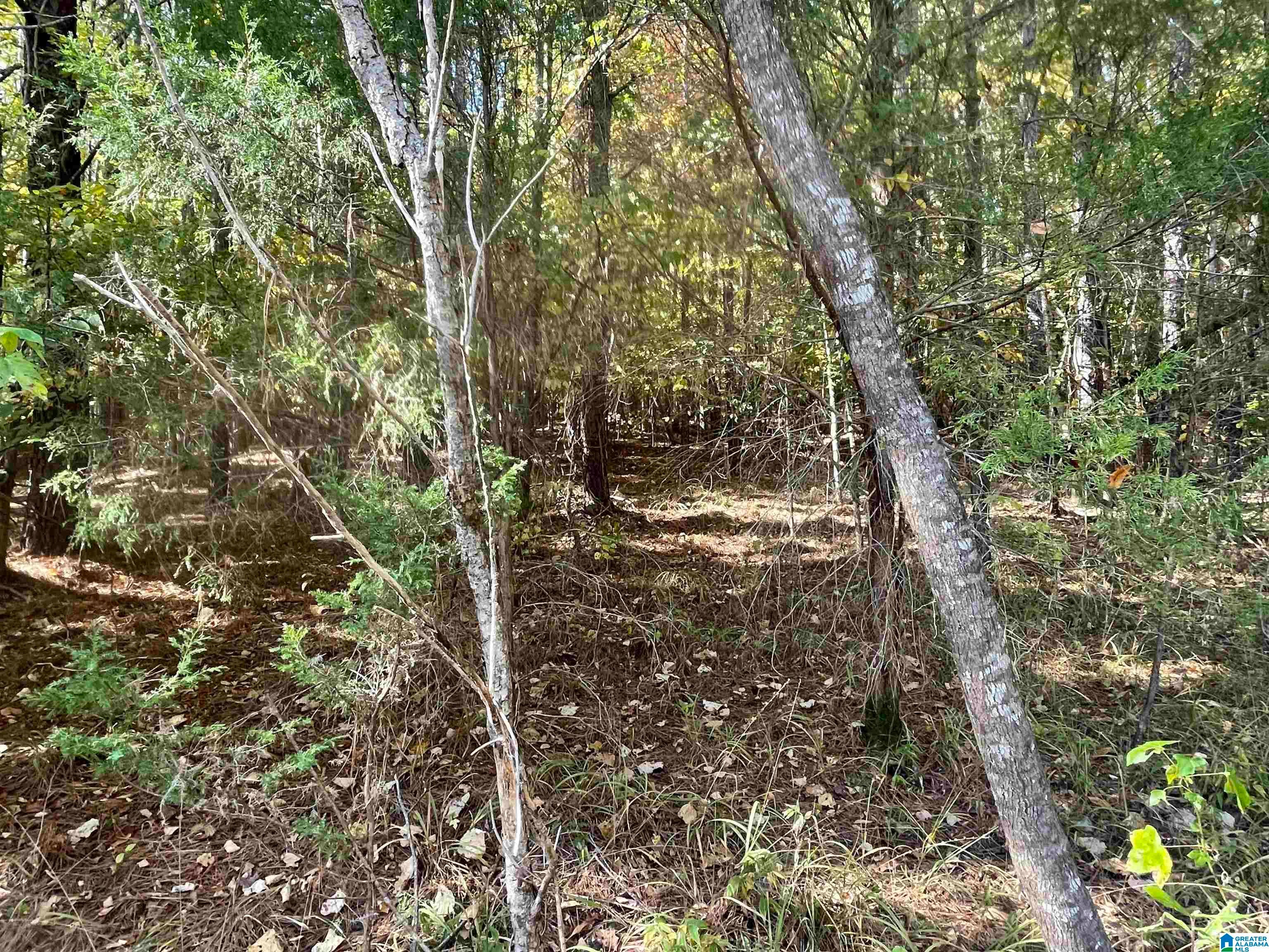 Lot #2 HIGHWAY 75 2