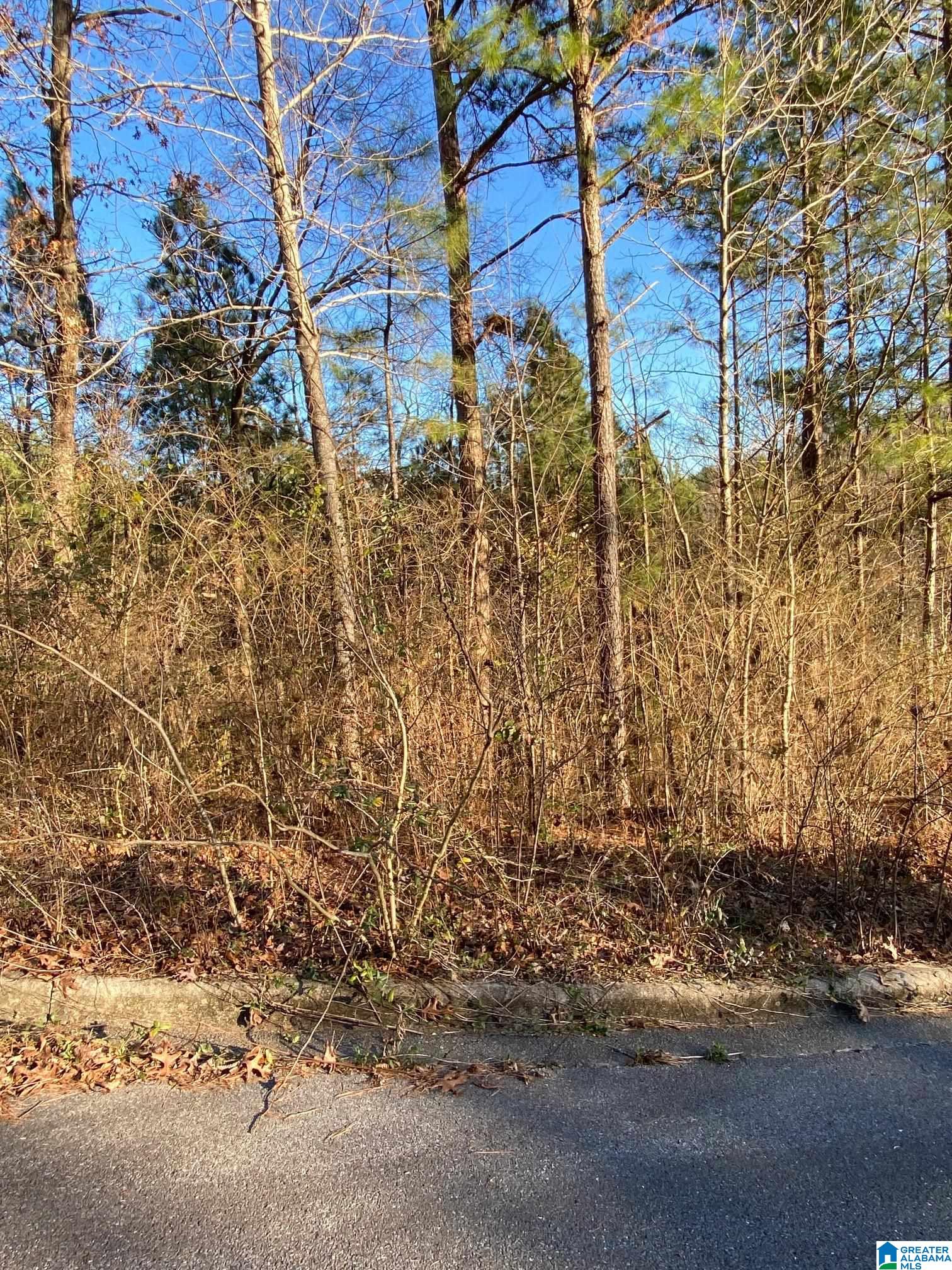 Photo 1 of 3 — 0 WOODLAND HILLS DRIVE 2 and 3, SPRINGVILLE, AL 35146