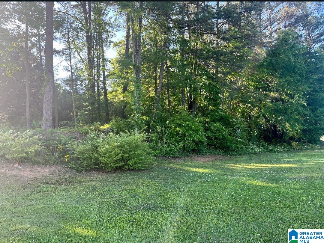 Photo 1 of 7 — 2335 19TH STREET 0, PELL CITY, AL 35128