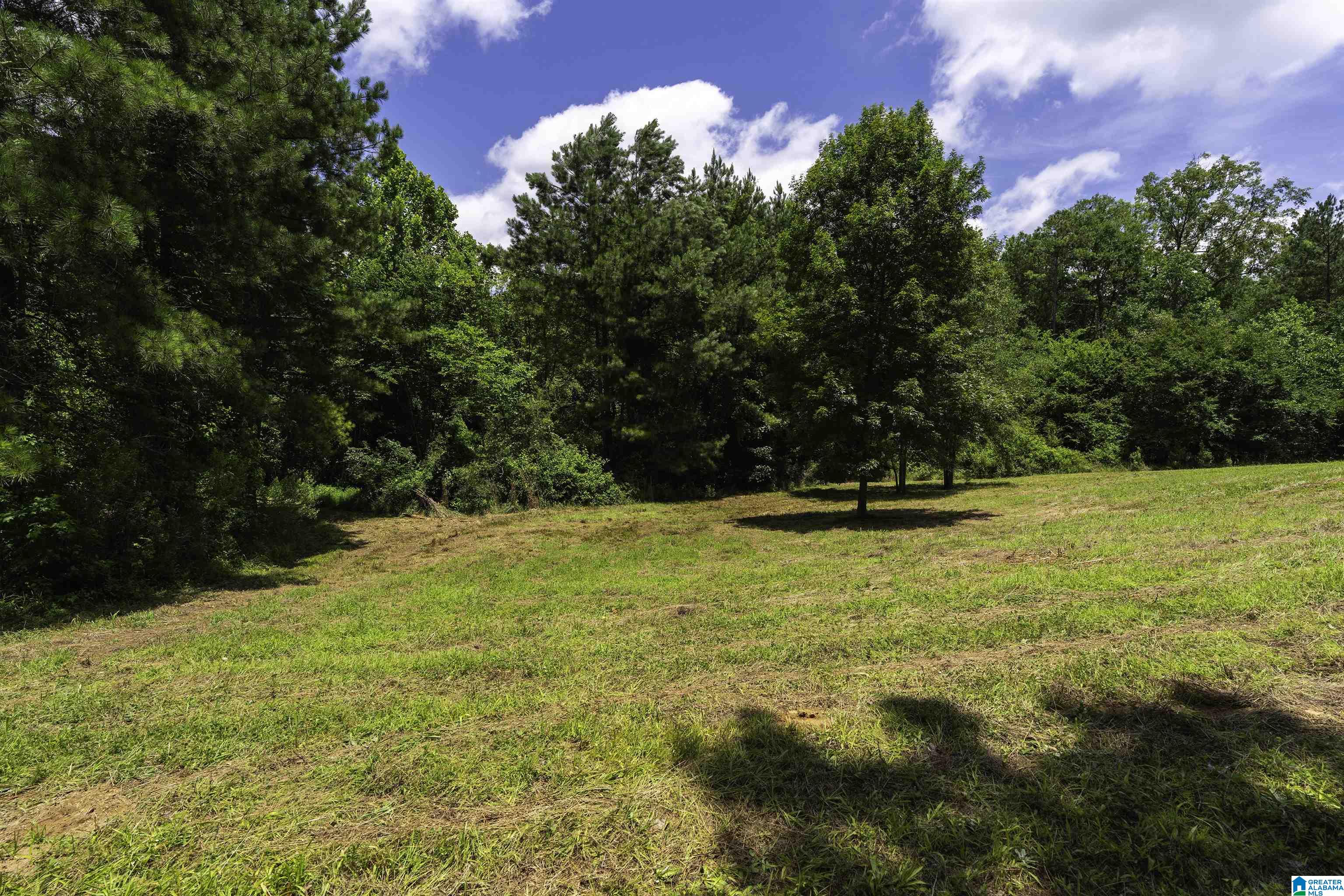 309 FOX VALLEY HIGHLANDS CIRCLE 11