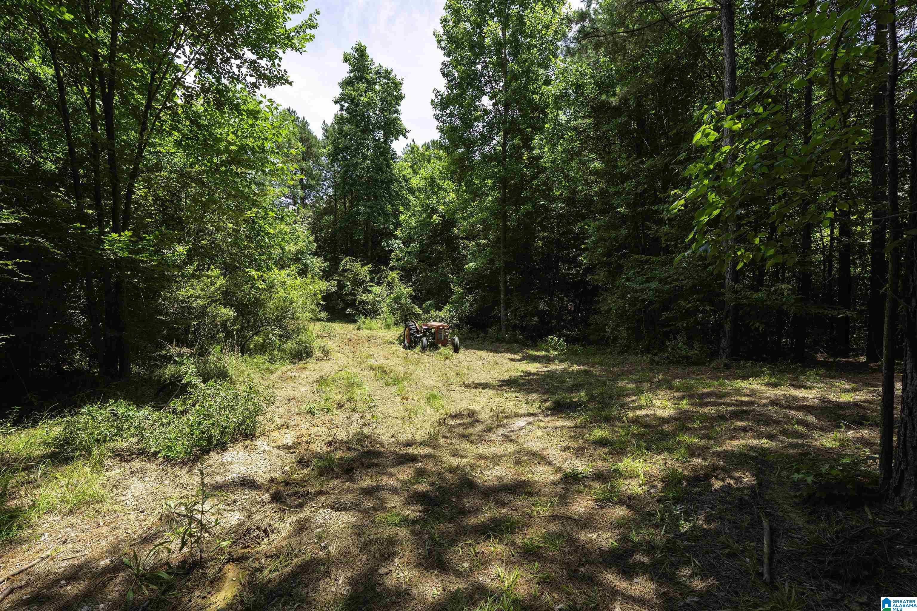 309 FOX VALLEY HIGHLANDS CIRCLE 11