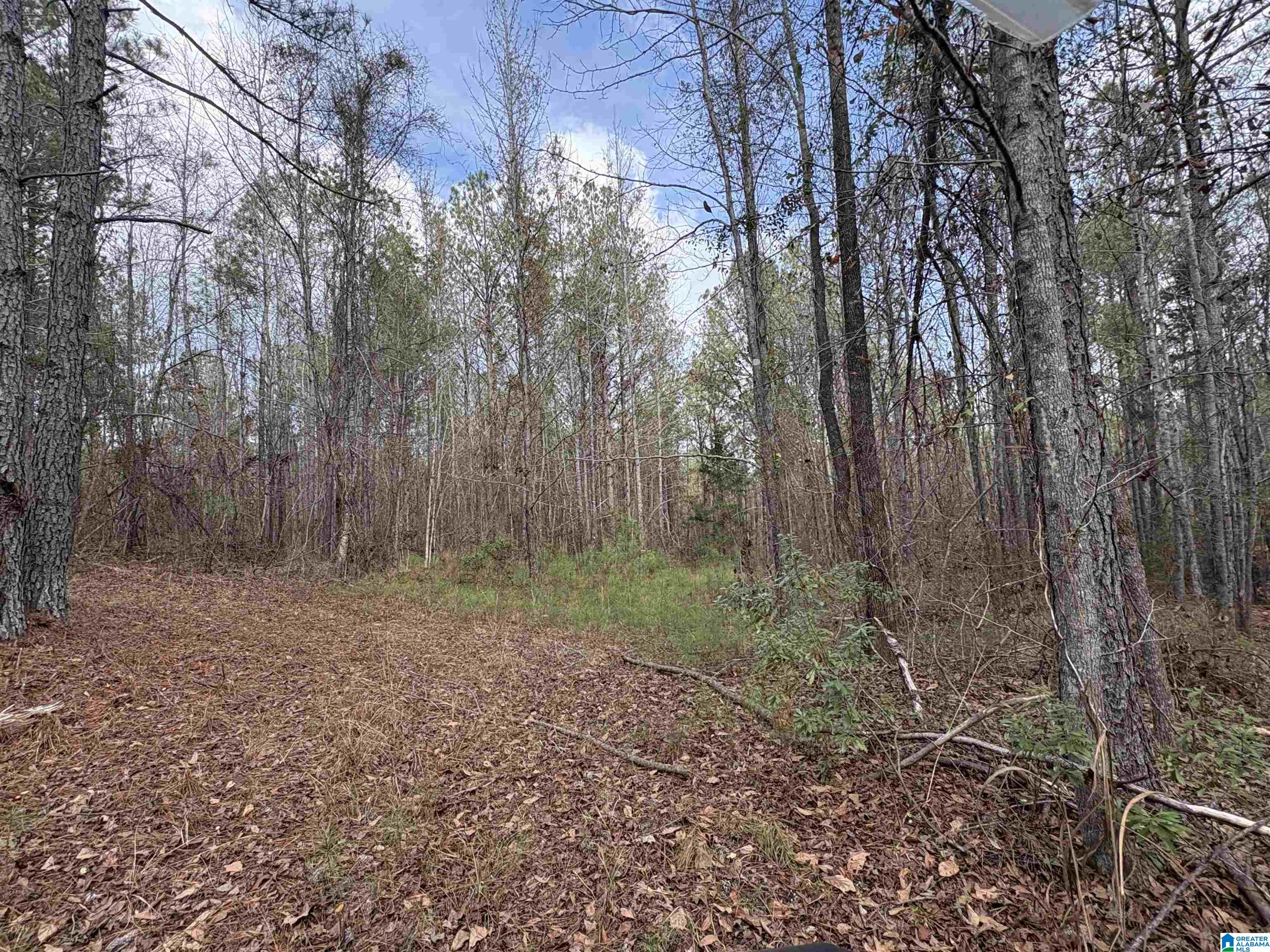 10 COUNTY ROAD 331 1