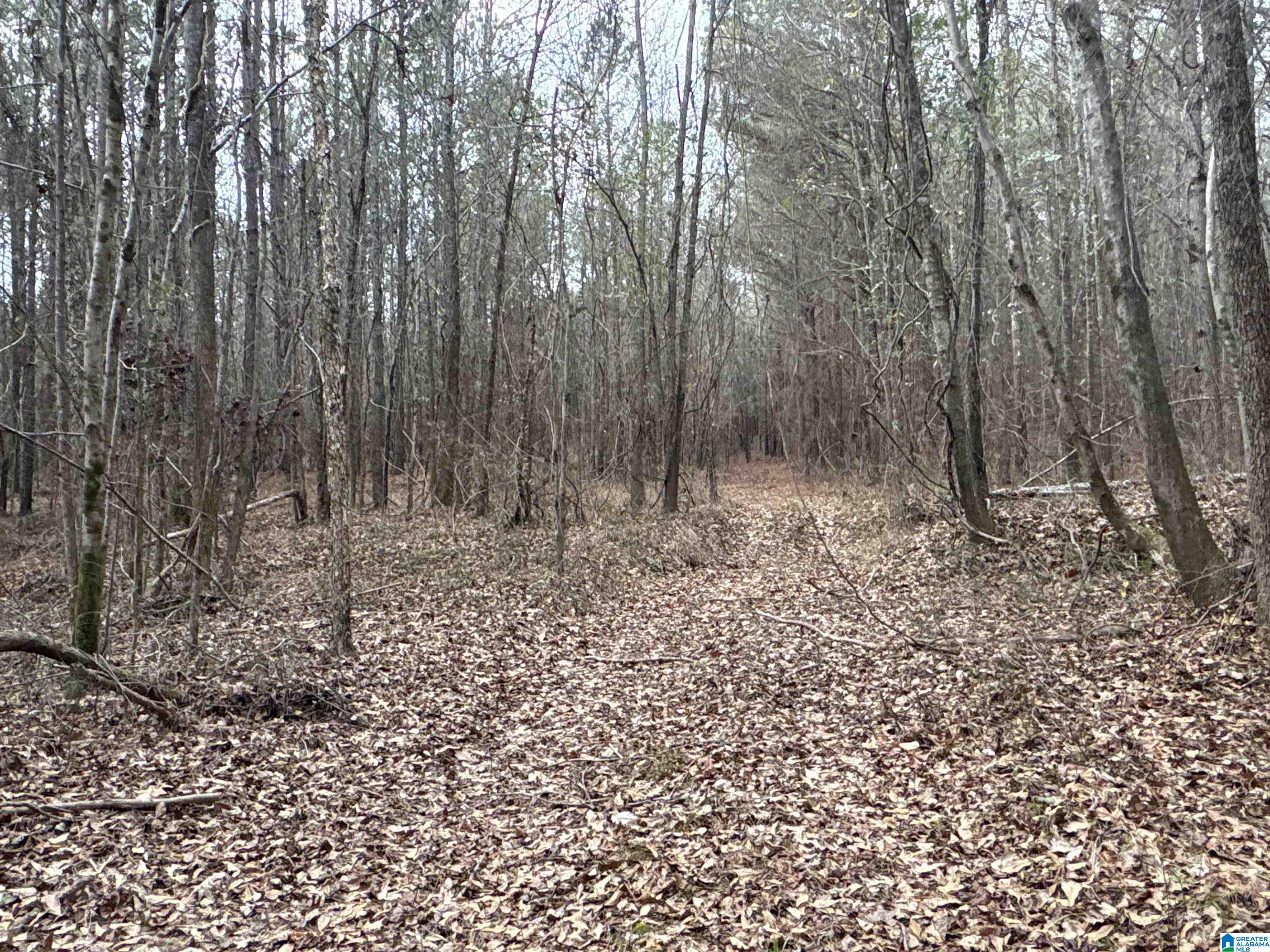 10 COUNTY ROAD 331 1