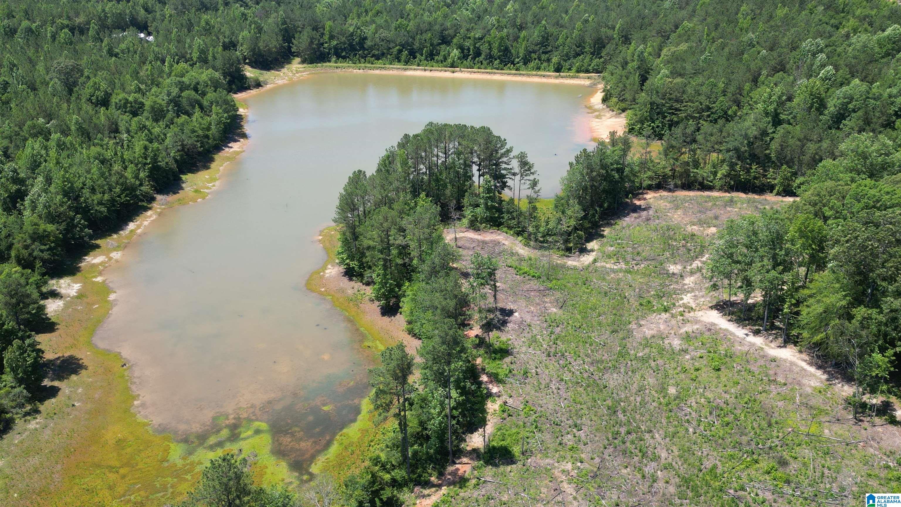 10 COUNTY ROAD 331 1