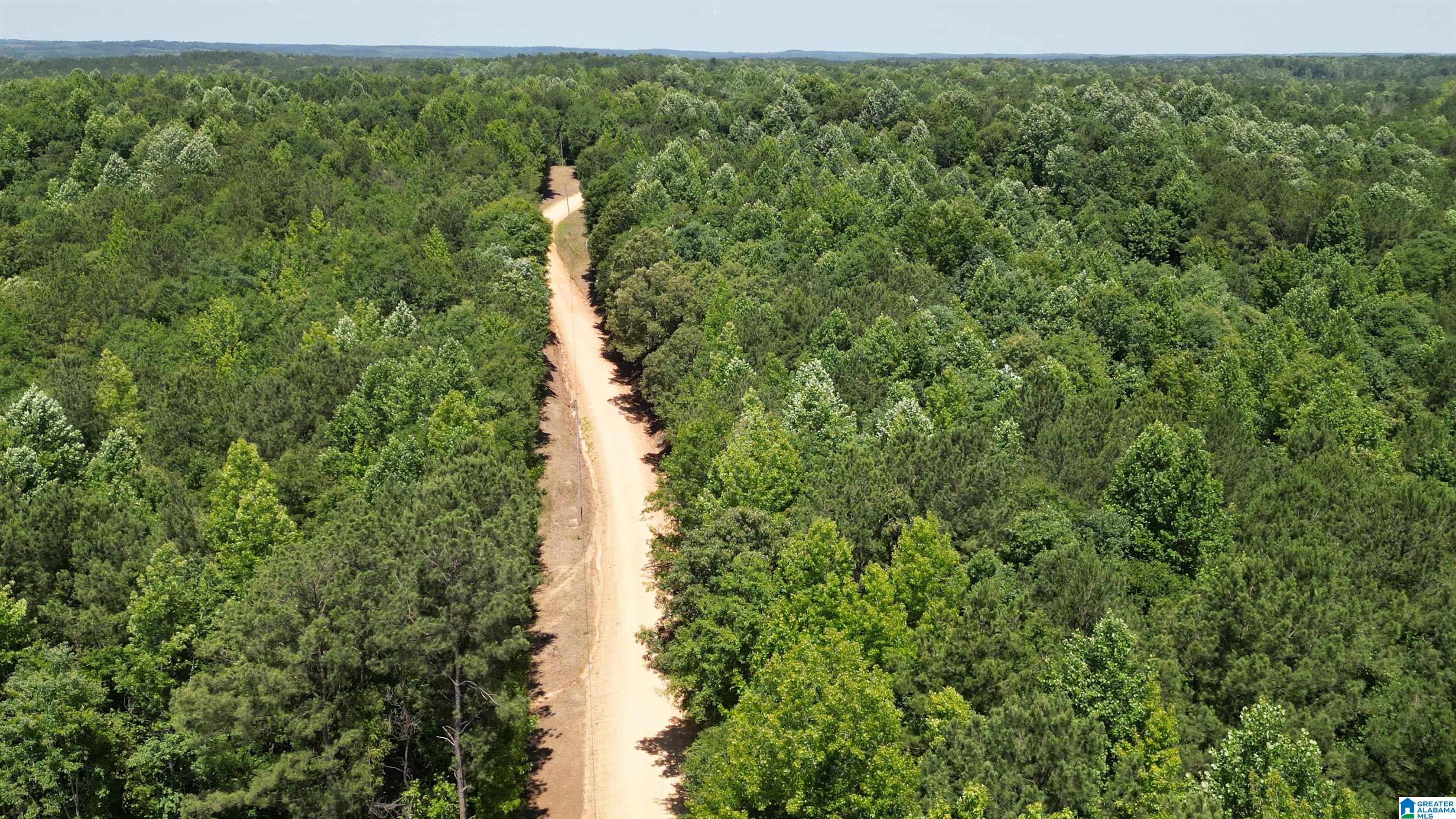 10 COUNTY ROAD 331 1