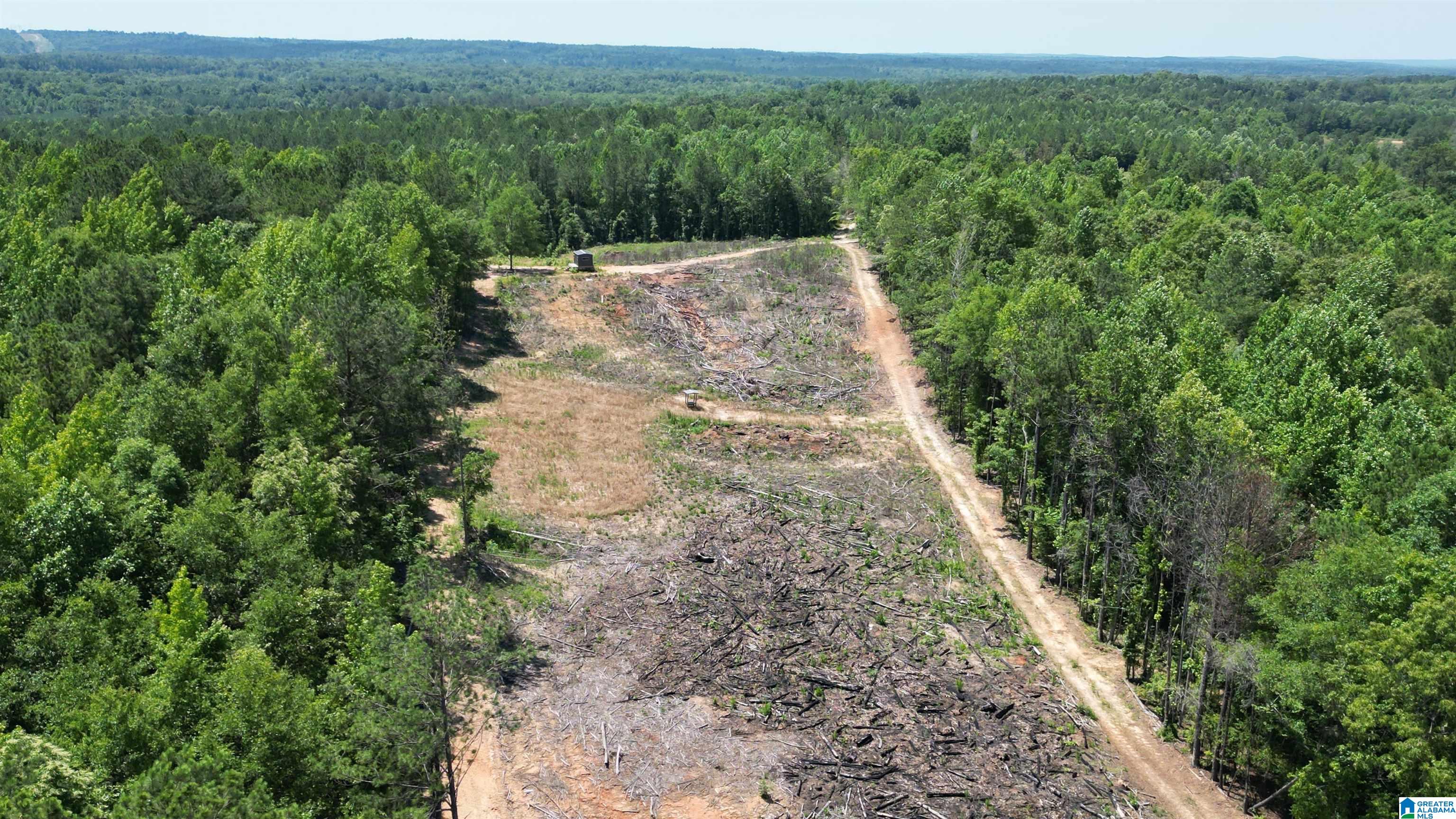 10 COUNTY ROAD 331 1