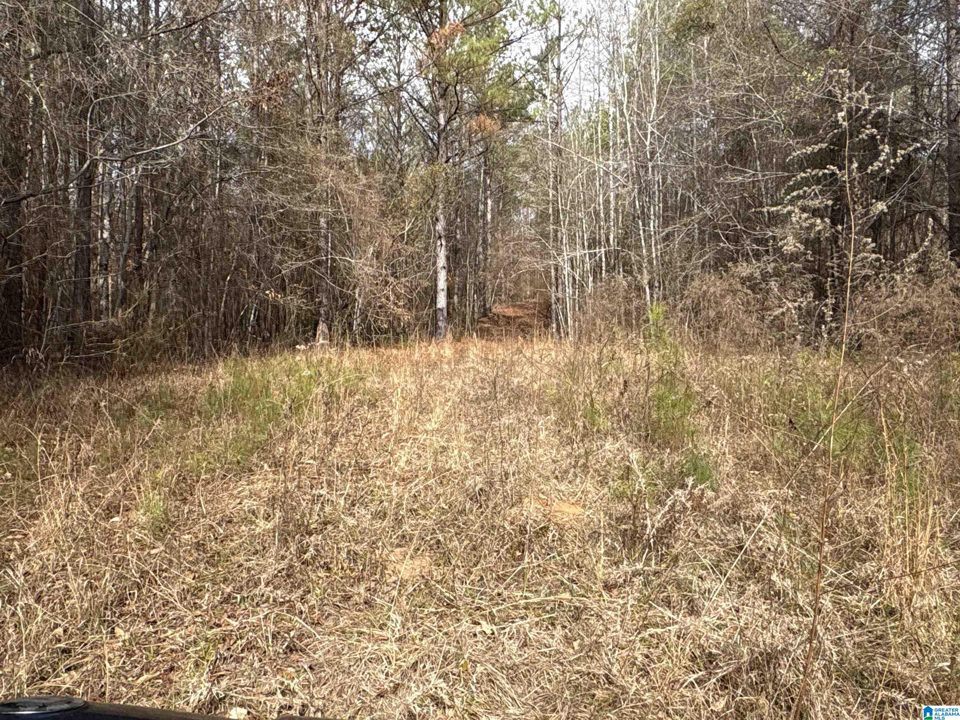 10 COUNTY ROAD 331 1