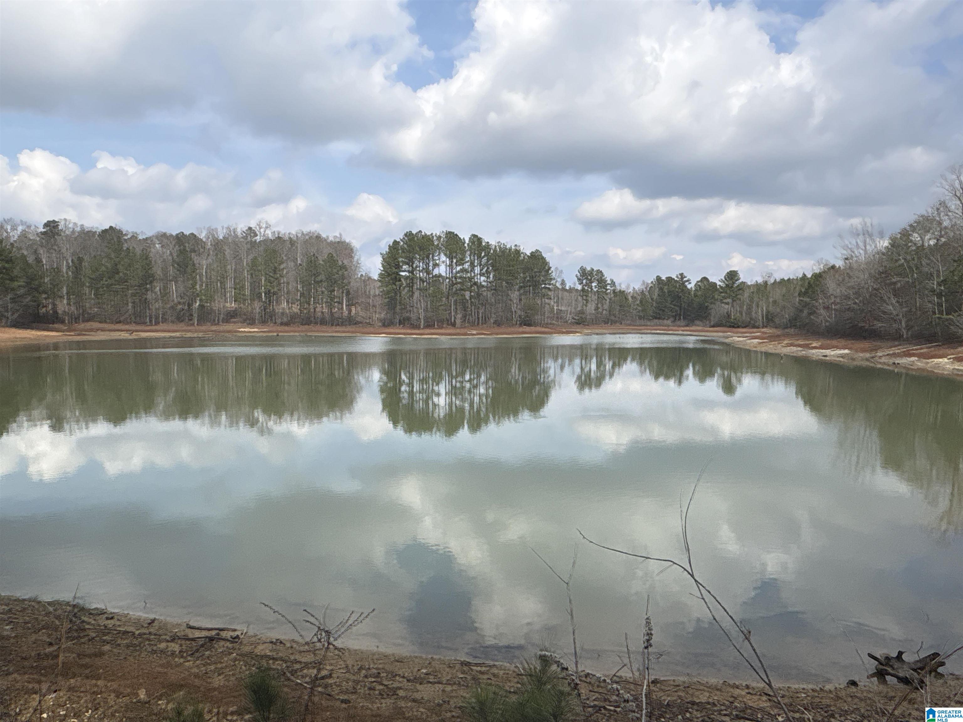 10 COUNTY ROAD 331 1