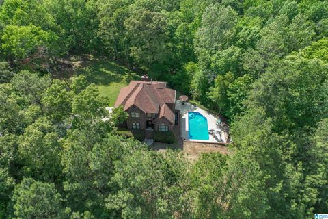 169 SWEET GUM DRIVE CHELSEA AL 35043