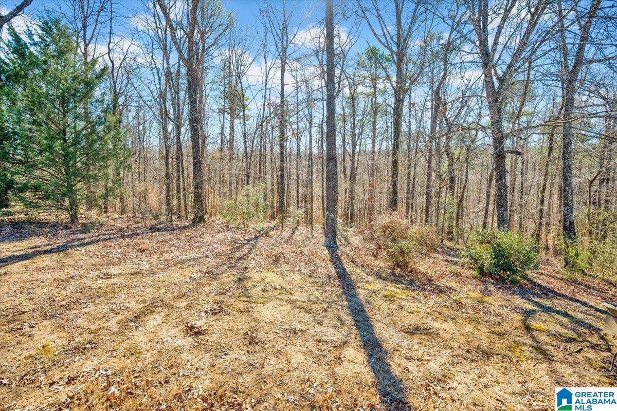 1025 WILLOWBROOK ROAD