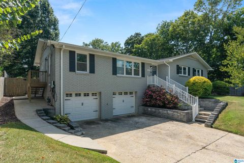 4521 MARYLAND AVENUE BIRMINGHAM AL 35213