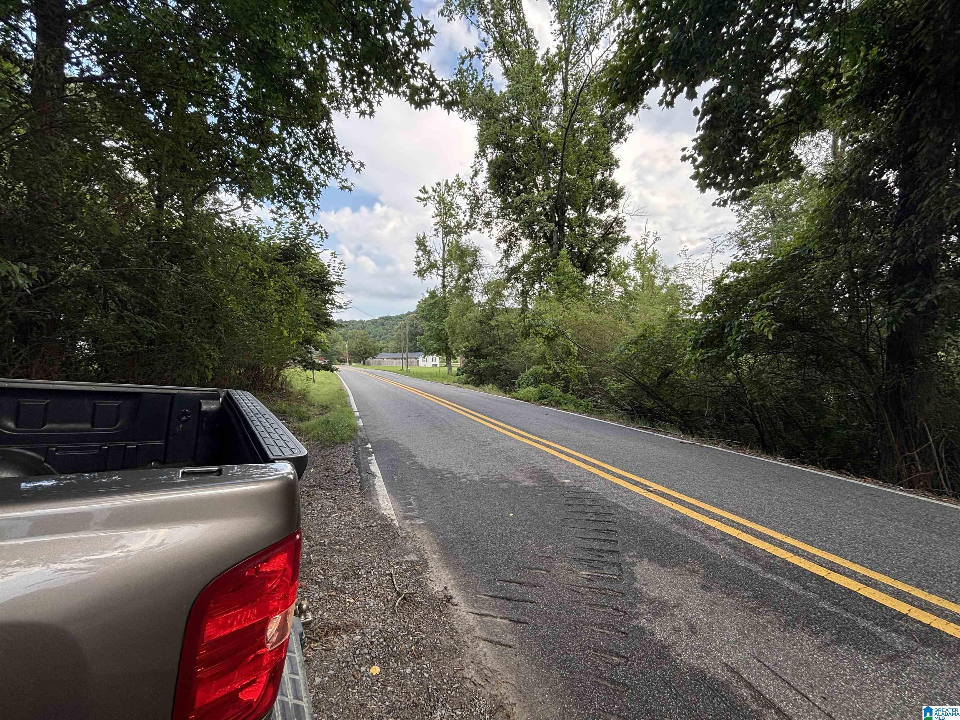 140 LISTER DRIVE 3.98 Acres