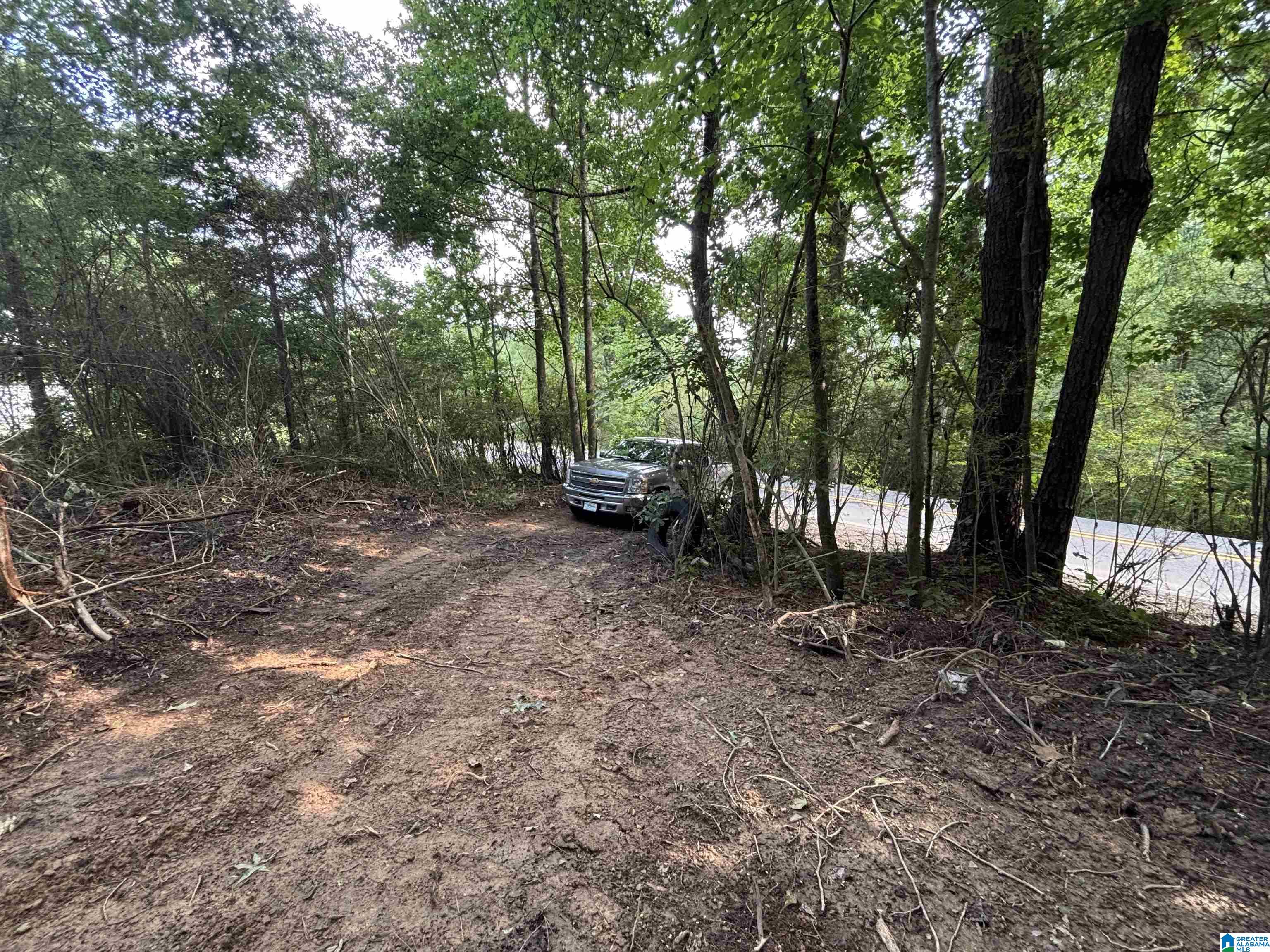 140 LISTER DRIVE 3.98 Acres