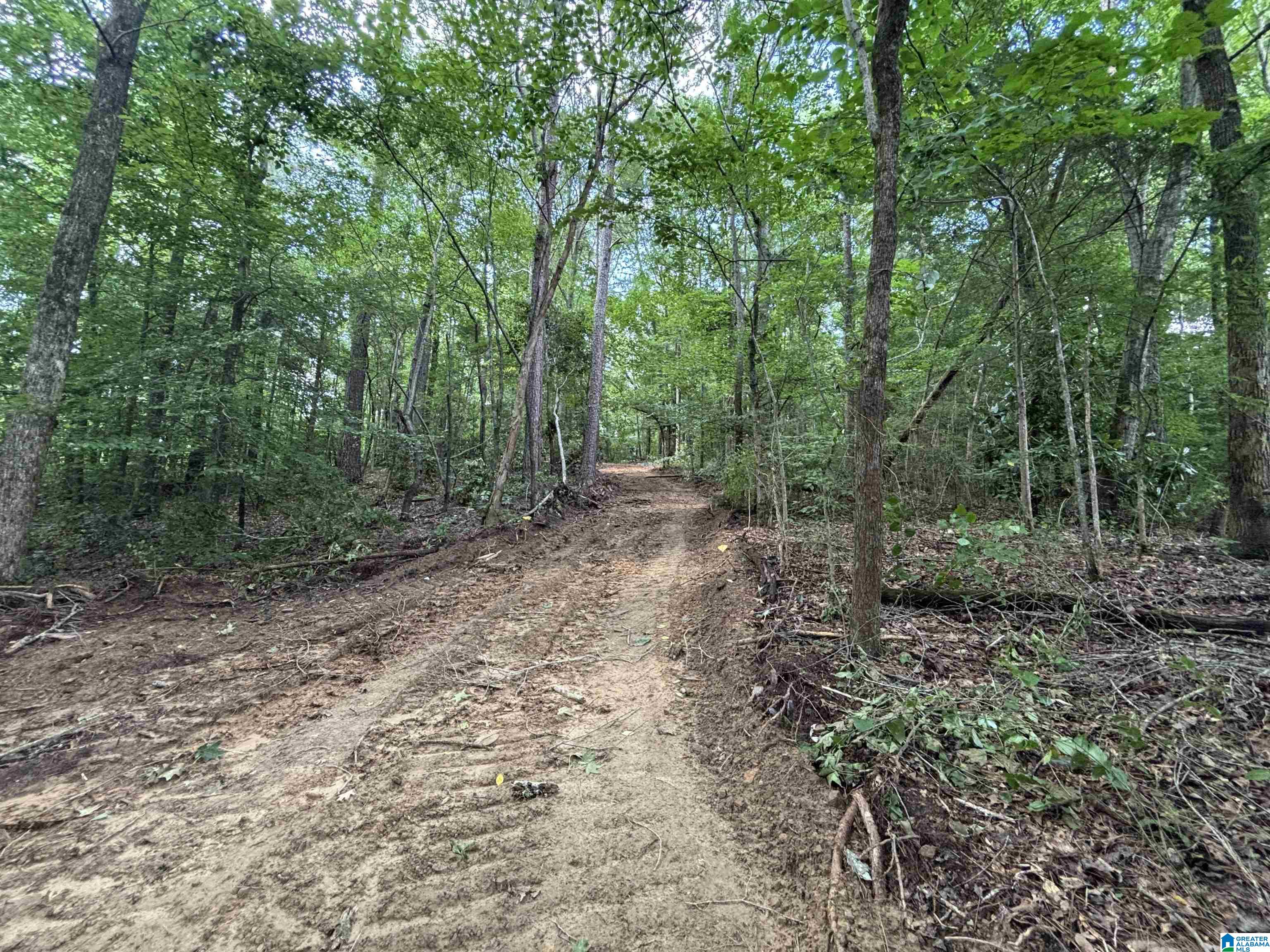 140 LISTER DRIVE 3.98 Acres
