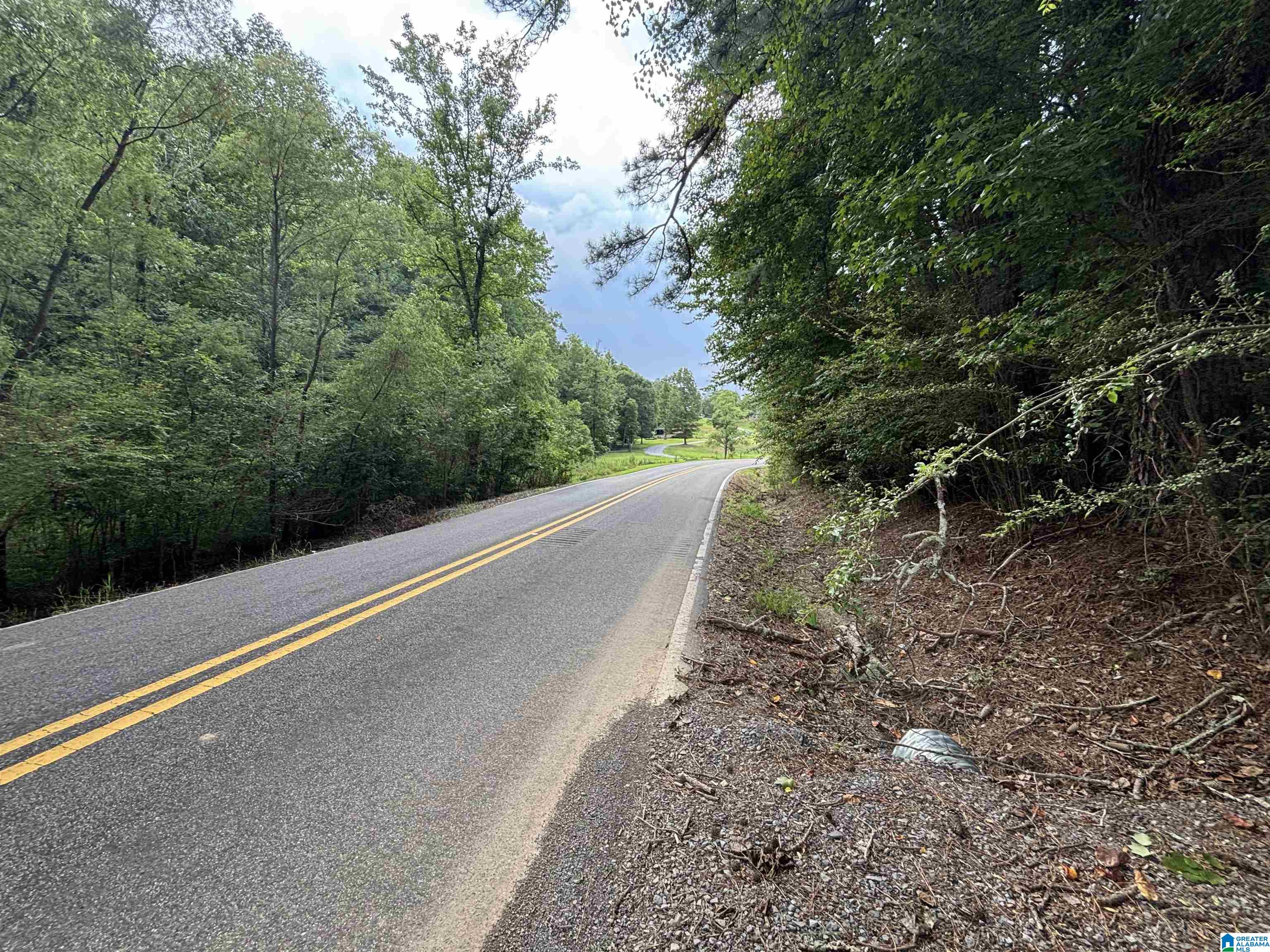 140 LISTER DRIVE 3.98 Acres
