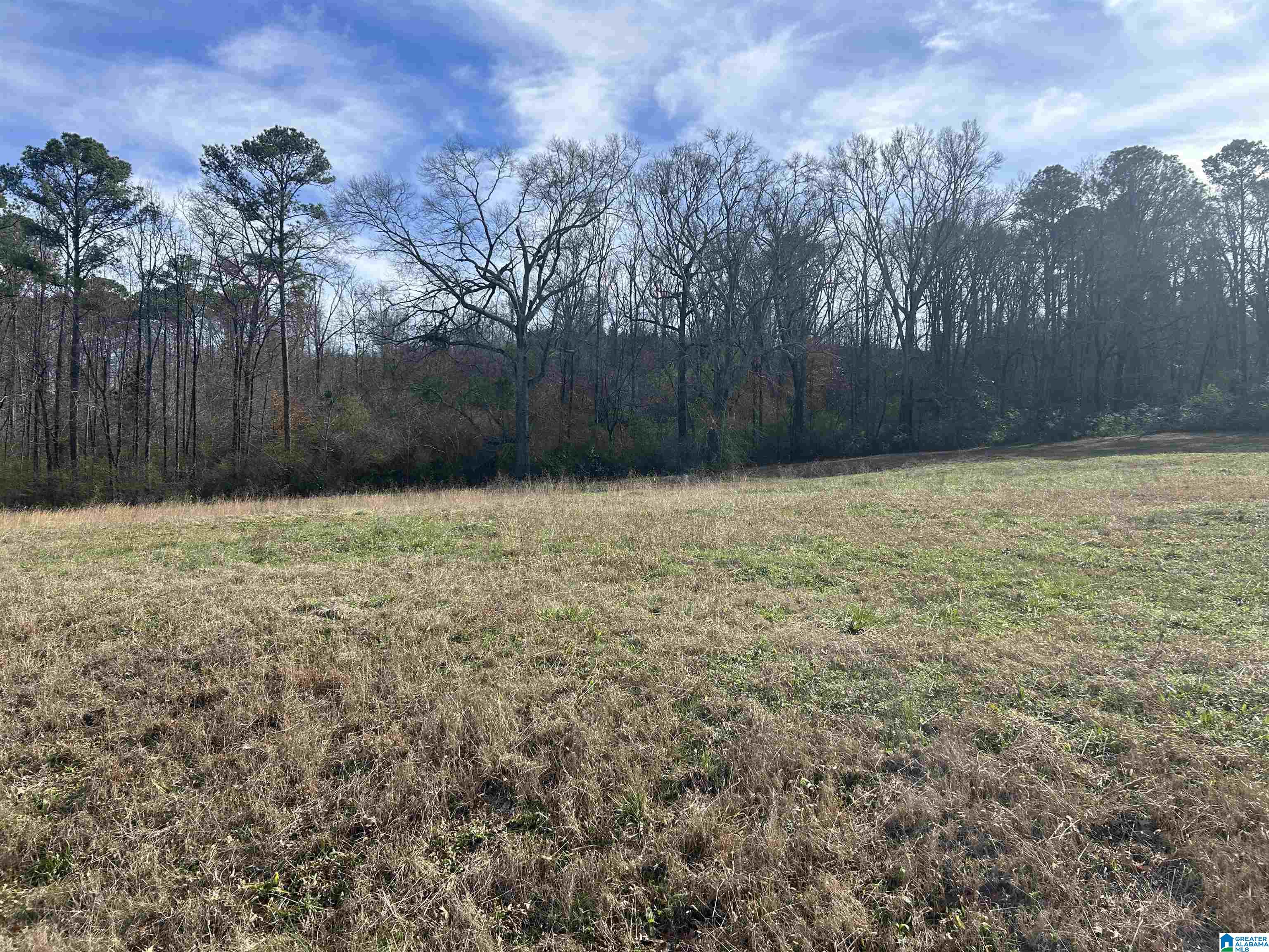 3450 SWEENEY HOLLOW ROAD 20 Acres