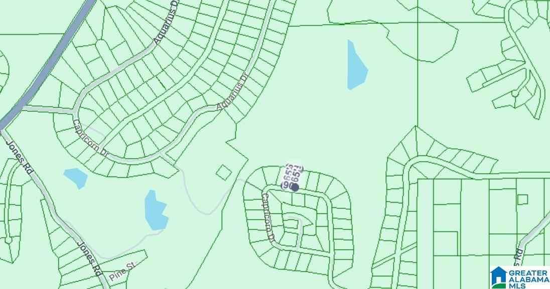 0 CONSTELLATION AVENUE none