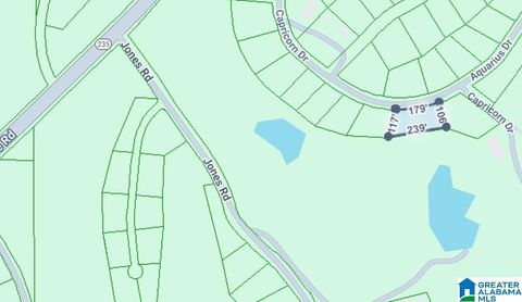 0 CONSTELLATION AVENUE none ALPINE AL 35014