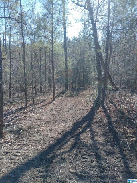 4 SWEET APPLE ROAD 7 PELL CITY AL 35128