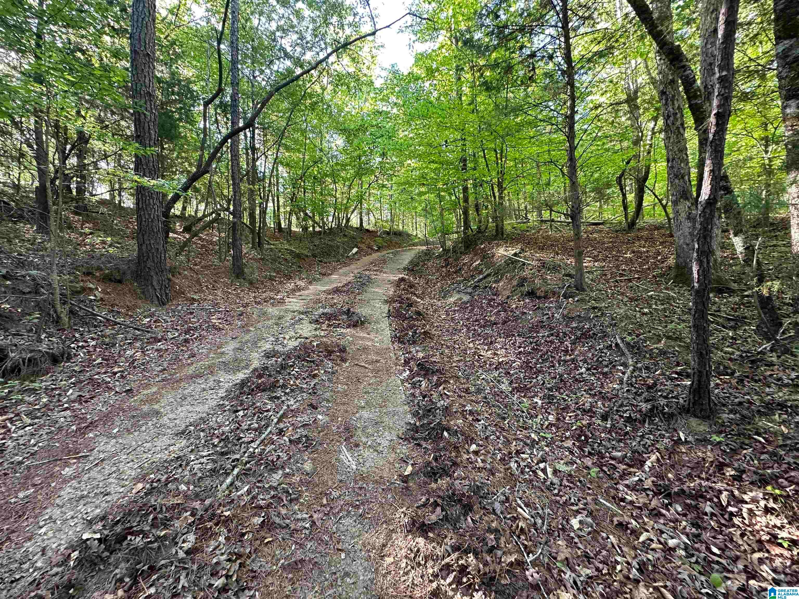 0 COUNTY ROAD 707 NA - Photo 4