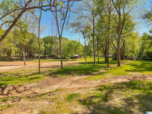 452 IOWA AVE, THORSBY, AL 35171 - Image 12ab7a8ce9e91e79a36ccfe890a1cf13/2802473552
