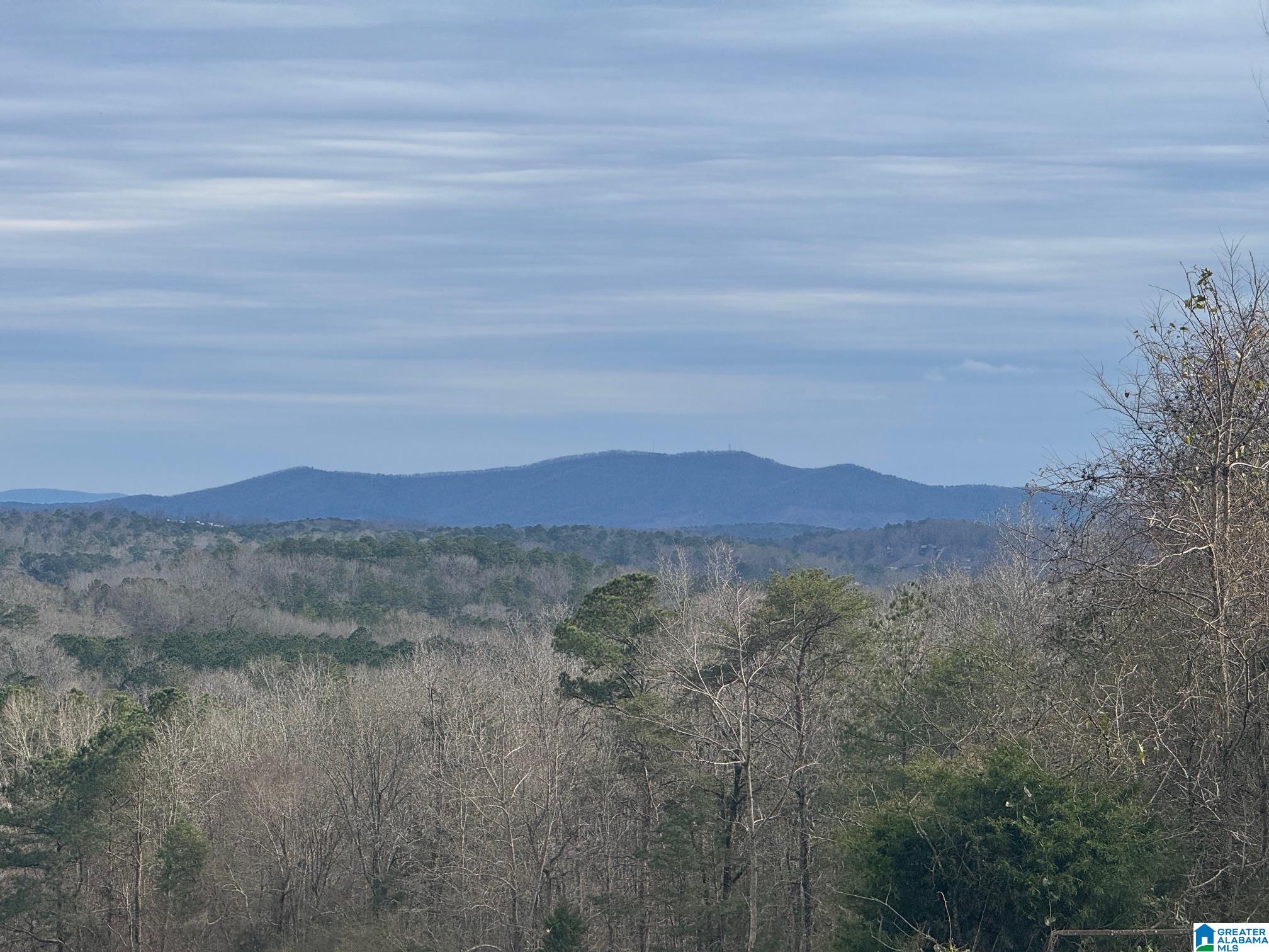 3953 LOGAN MARTIN DAM ROAD