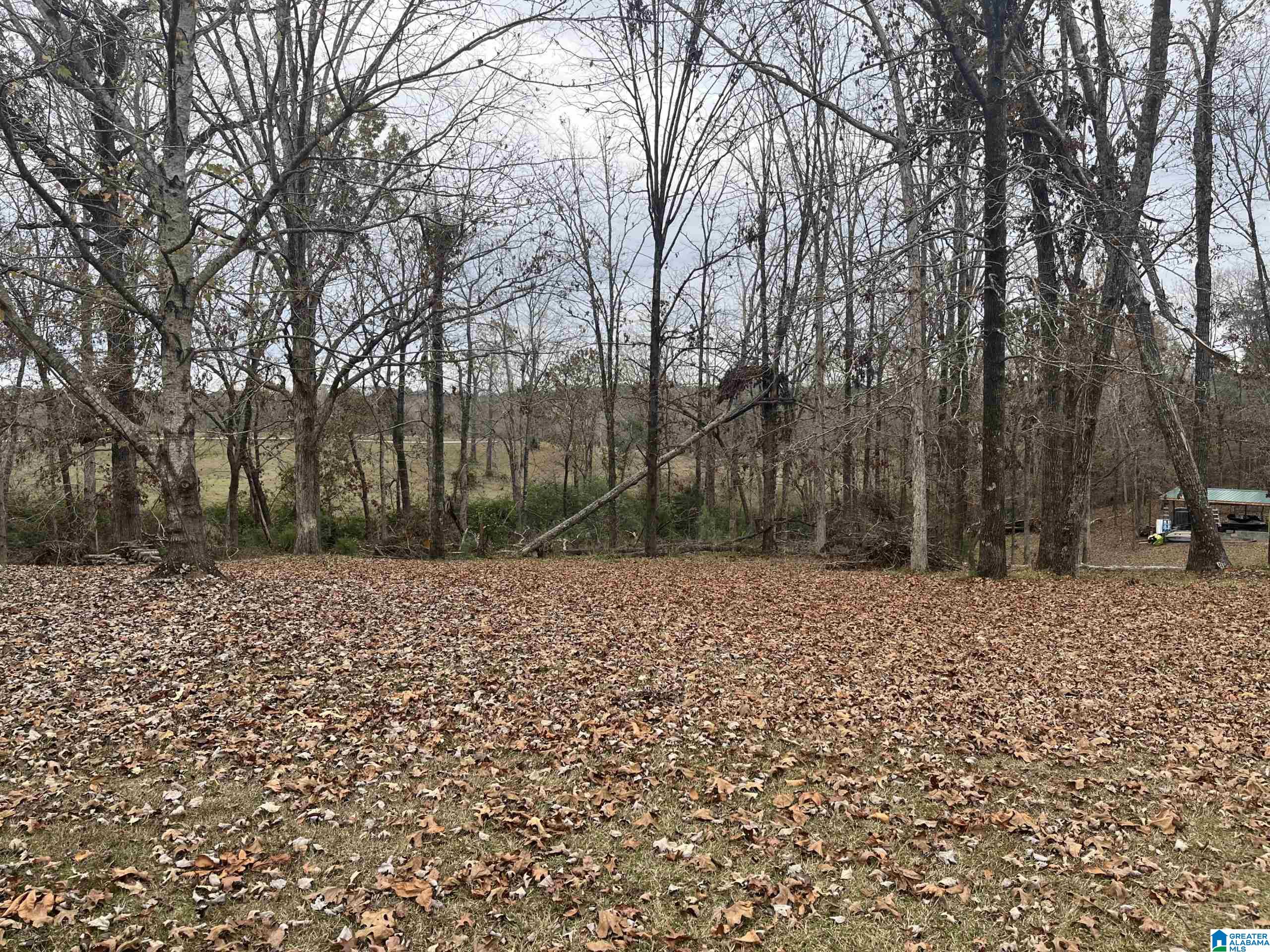 15923 LAKE HILLS DRIVE