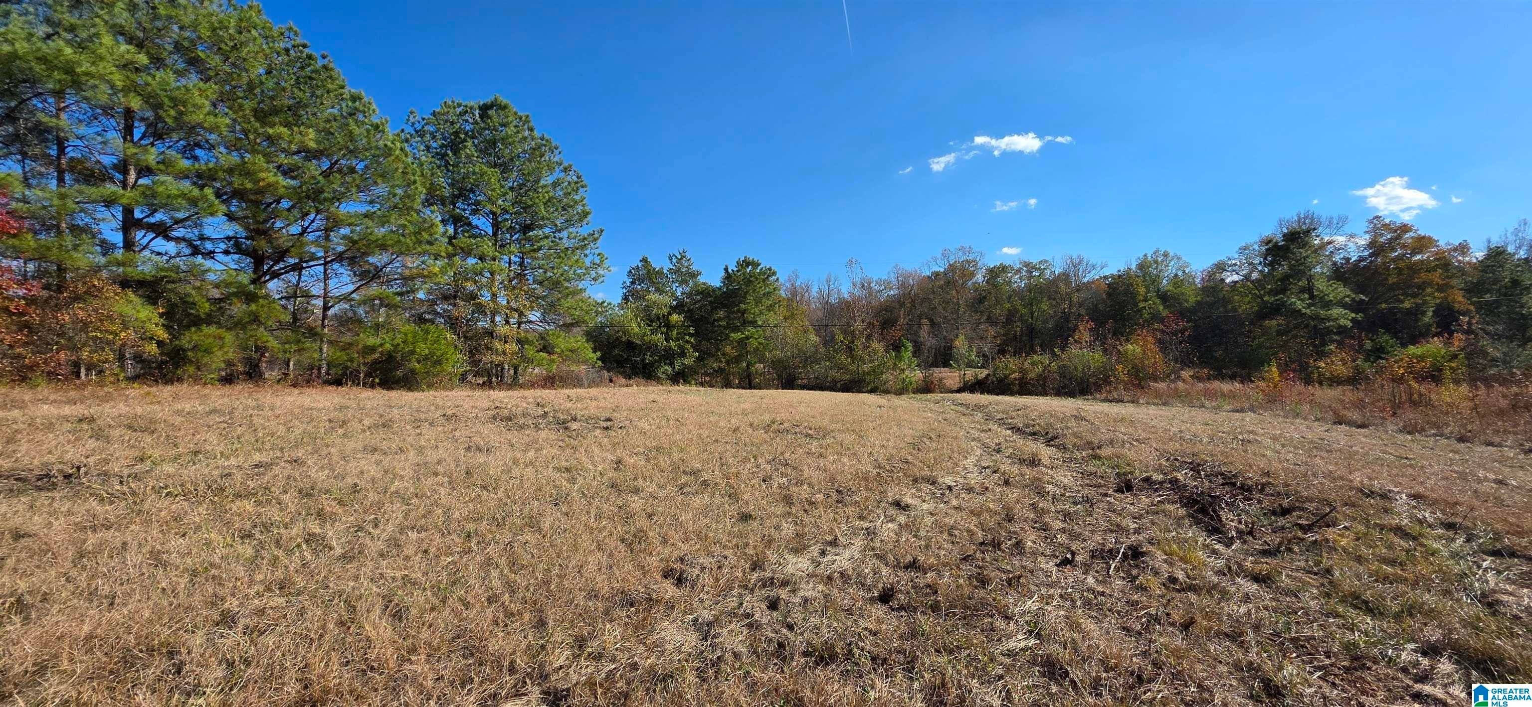 663 GRAHAM DRIVE Lot 5