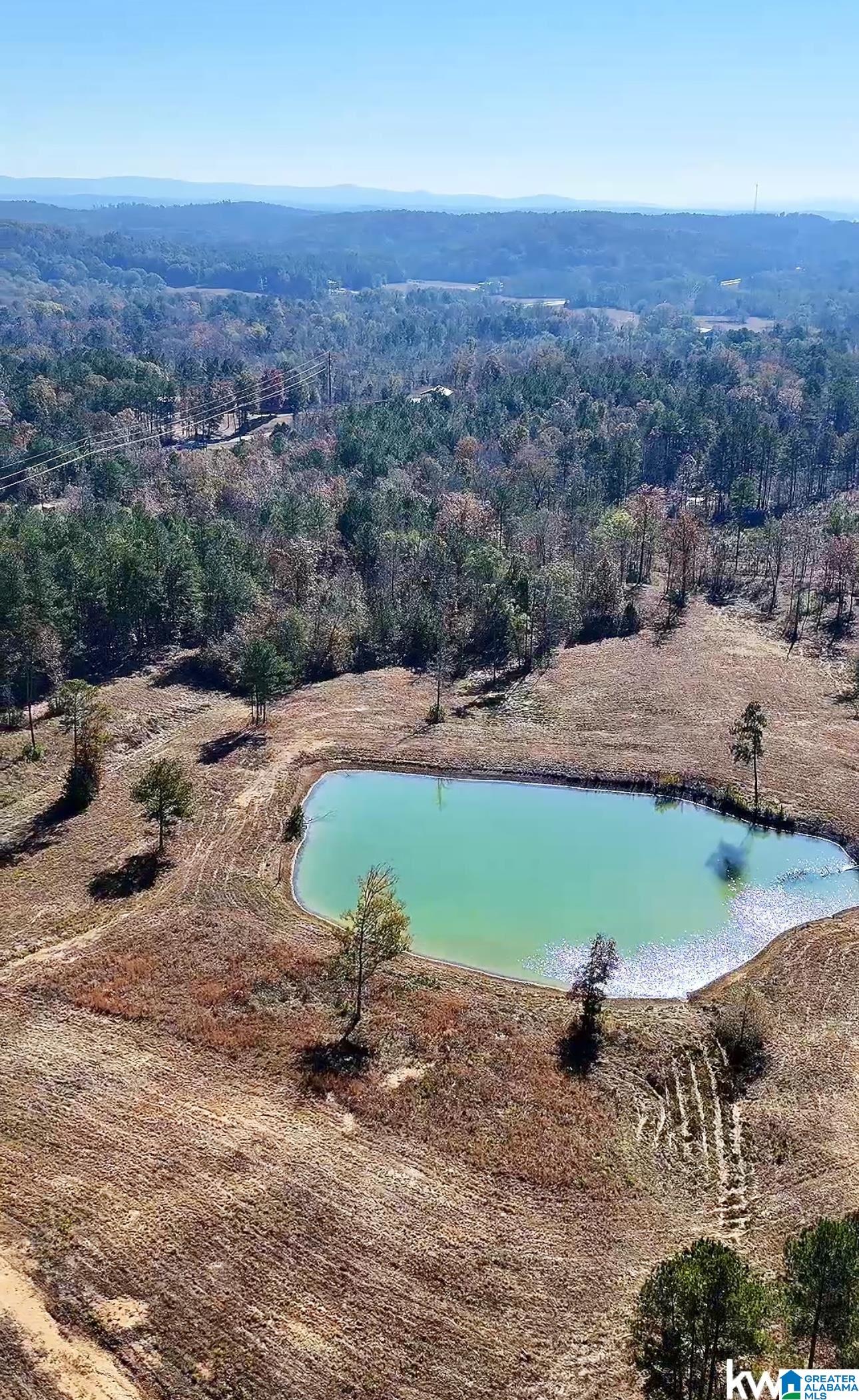 Photo 1 of 11 — 0 GILBERTS FERRY ROAD 0, OHATCHEE, AL 36271