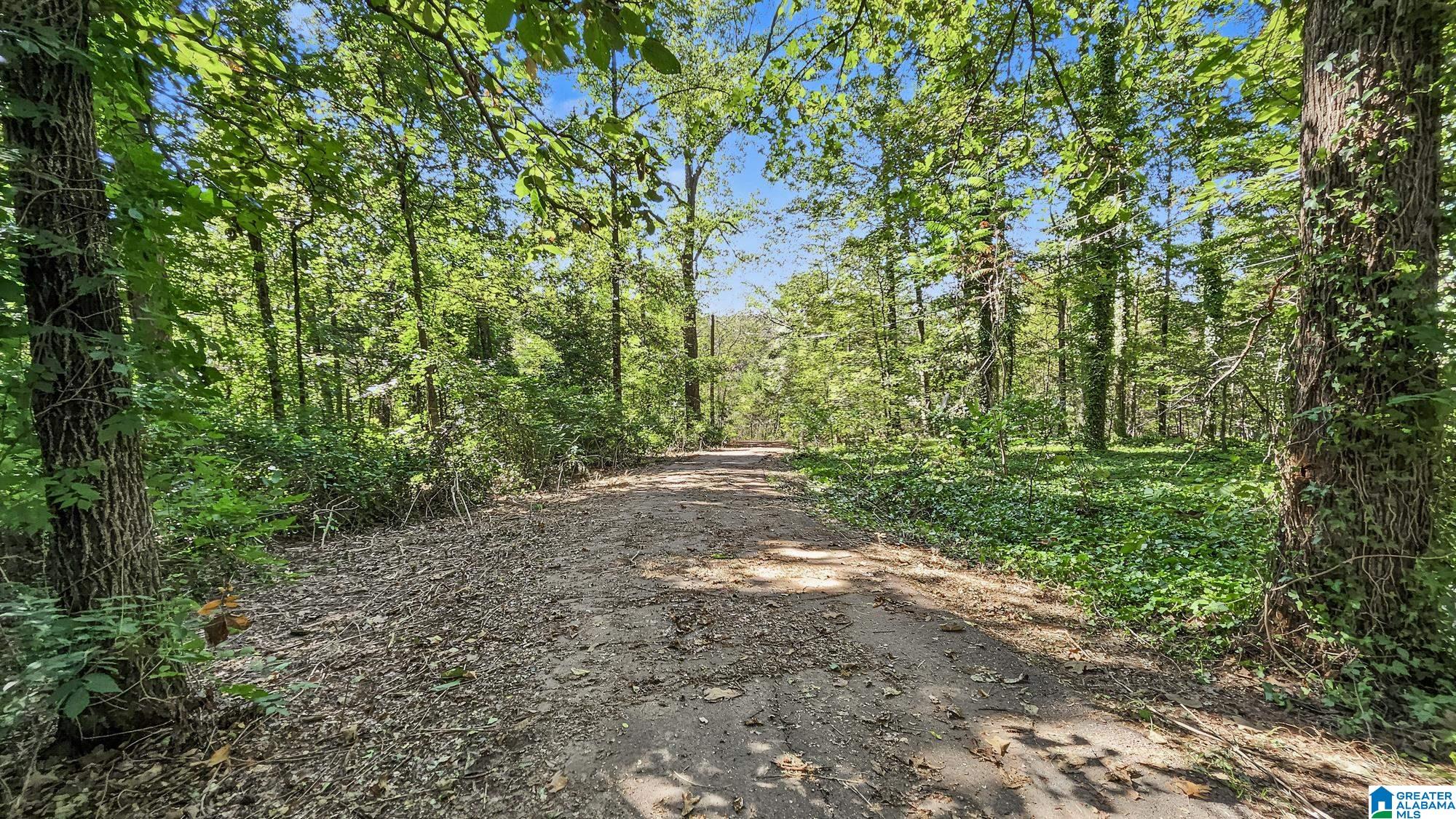 367 LOVELY LANE