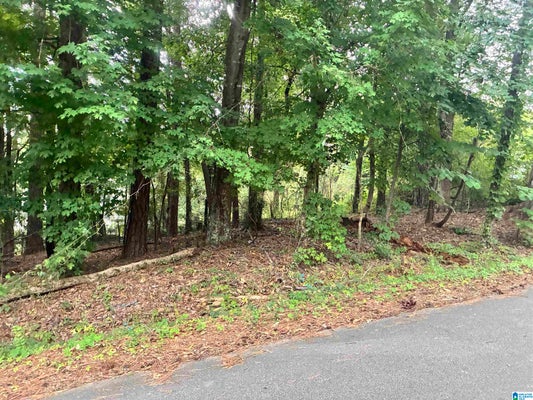 316 WARRIOR RIVER HIGHLAND RD # 27, ADGER, AL 35006 - Image 14985e780c70decb31ef8248fbc1bf2f/2805983541