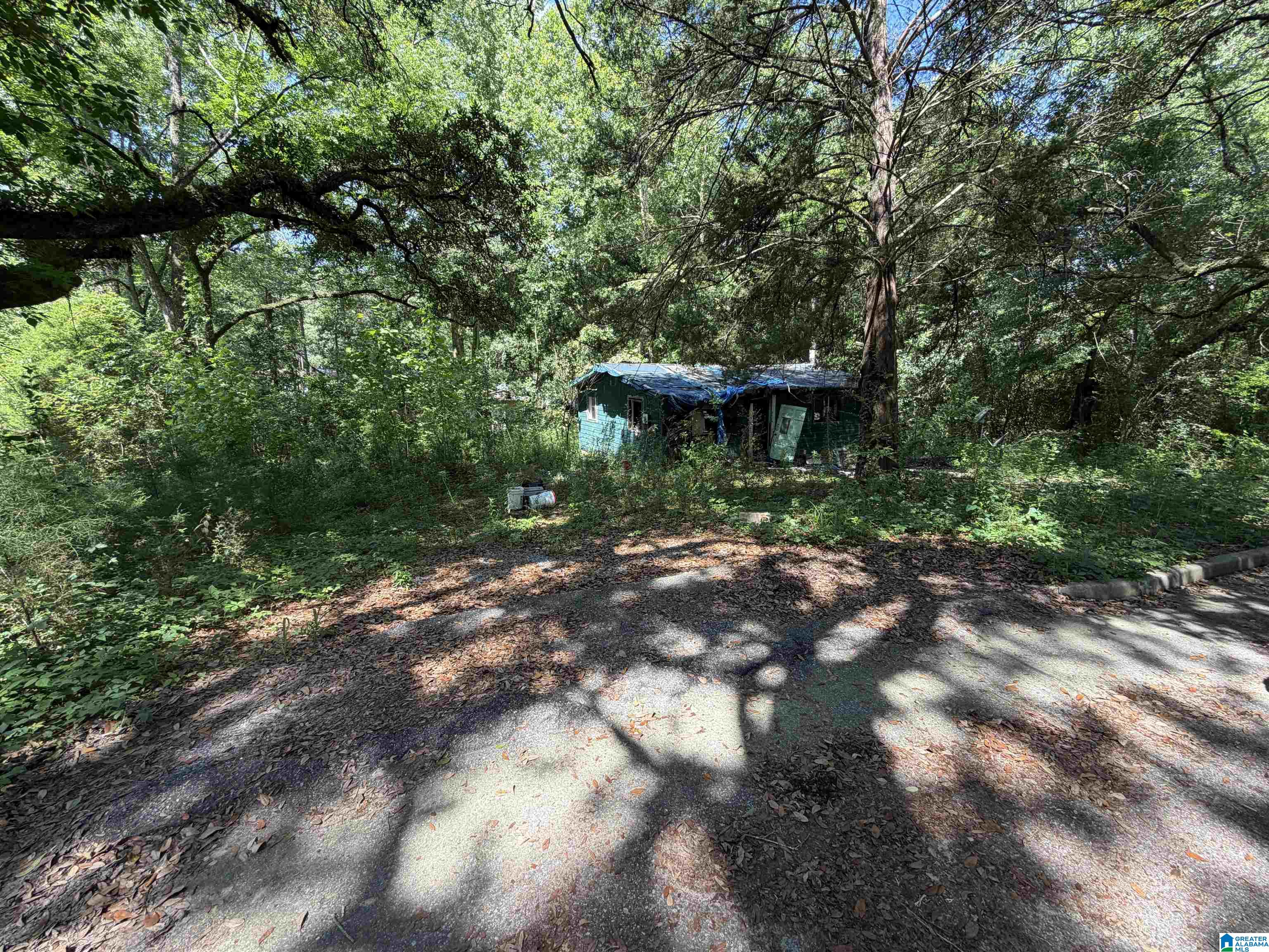 1695 ALABAMA STREET - Photo 3