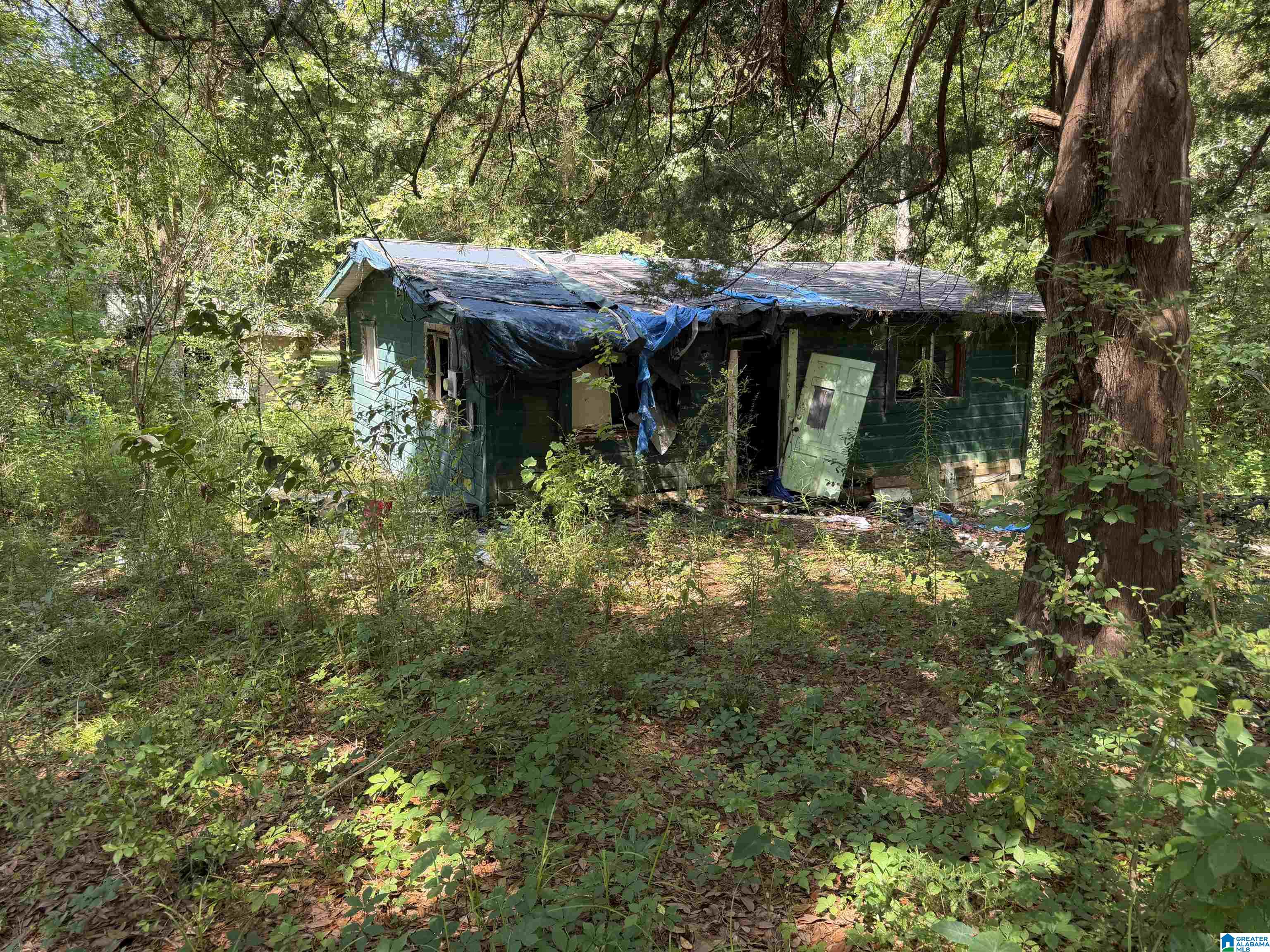 1695 ALABAMA STREET - Photo 2