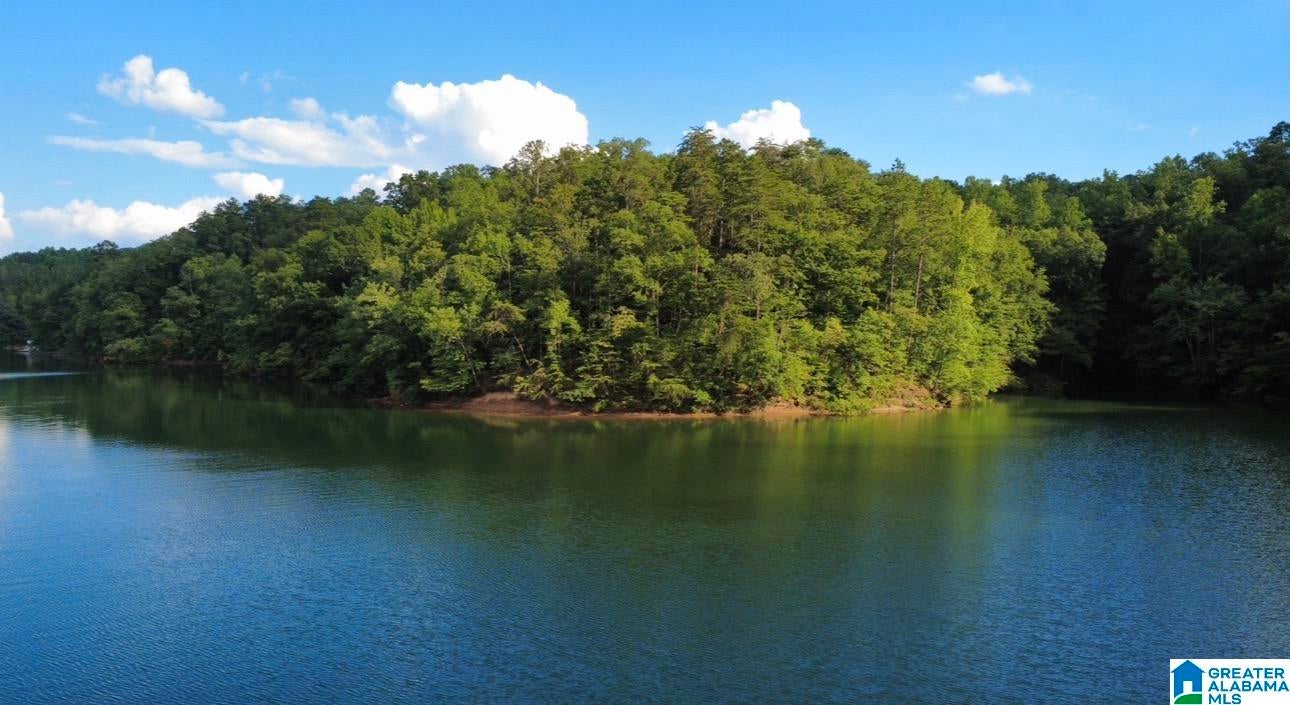 111 QUIET COVE ROAD 0