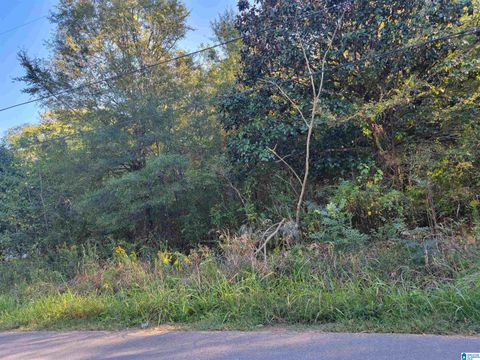 312 PINE STREET SW 024.002 BESSEMER AL 35022