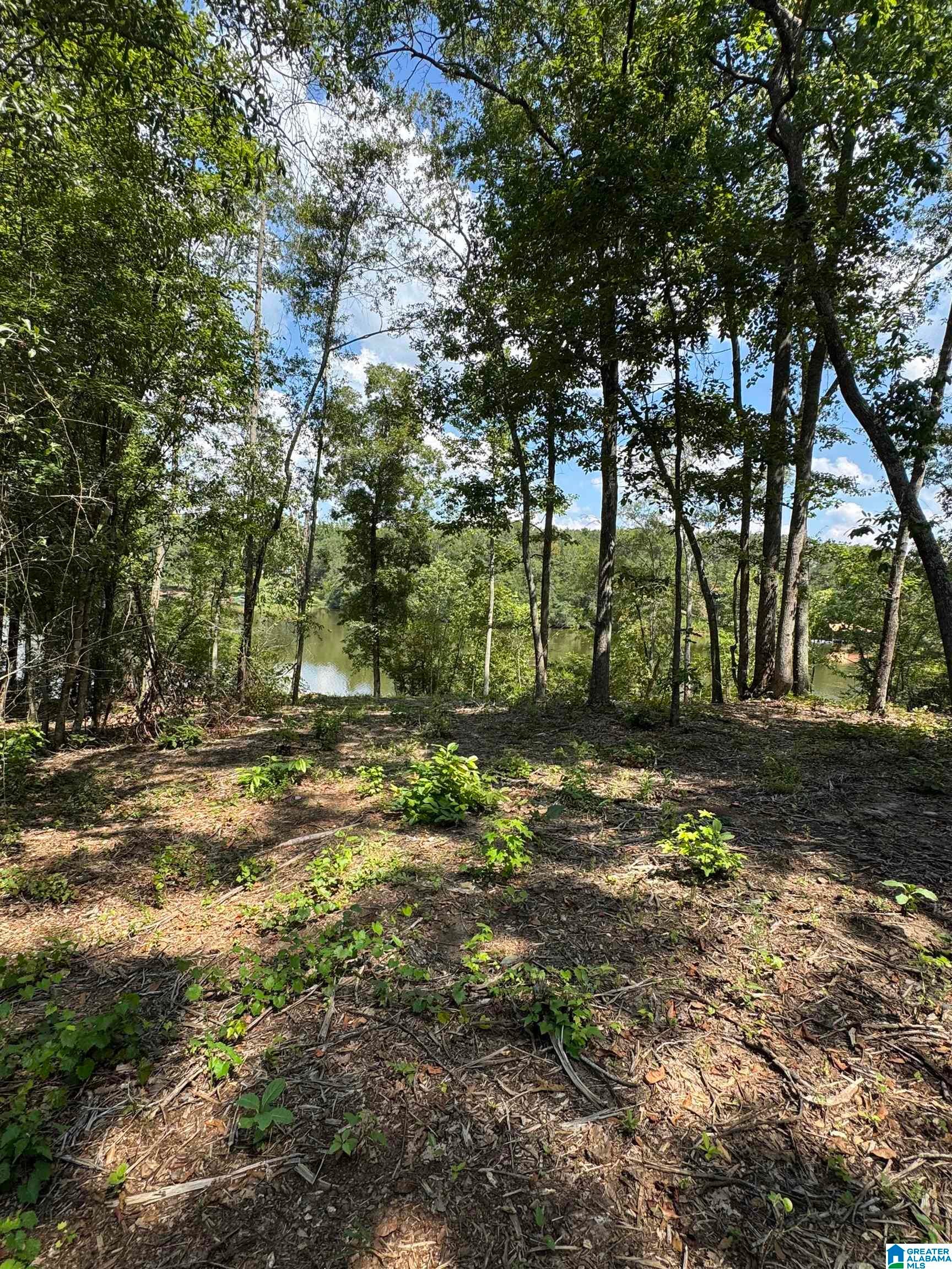 Lot 9 Cam's Cov OLD HIGHWAY 431 Lot 9