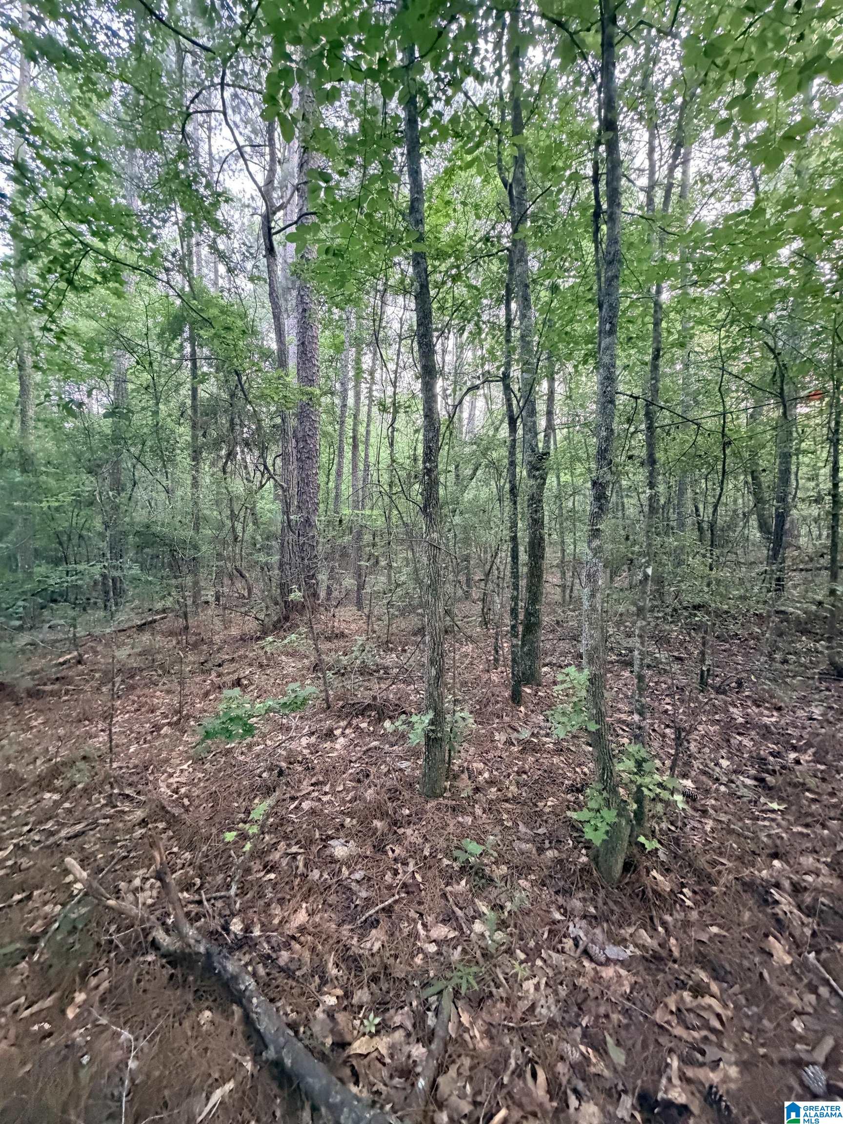 Photo 1 of 2 — 0 HIGHWAY 55 2, STERRETT, AL 35147