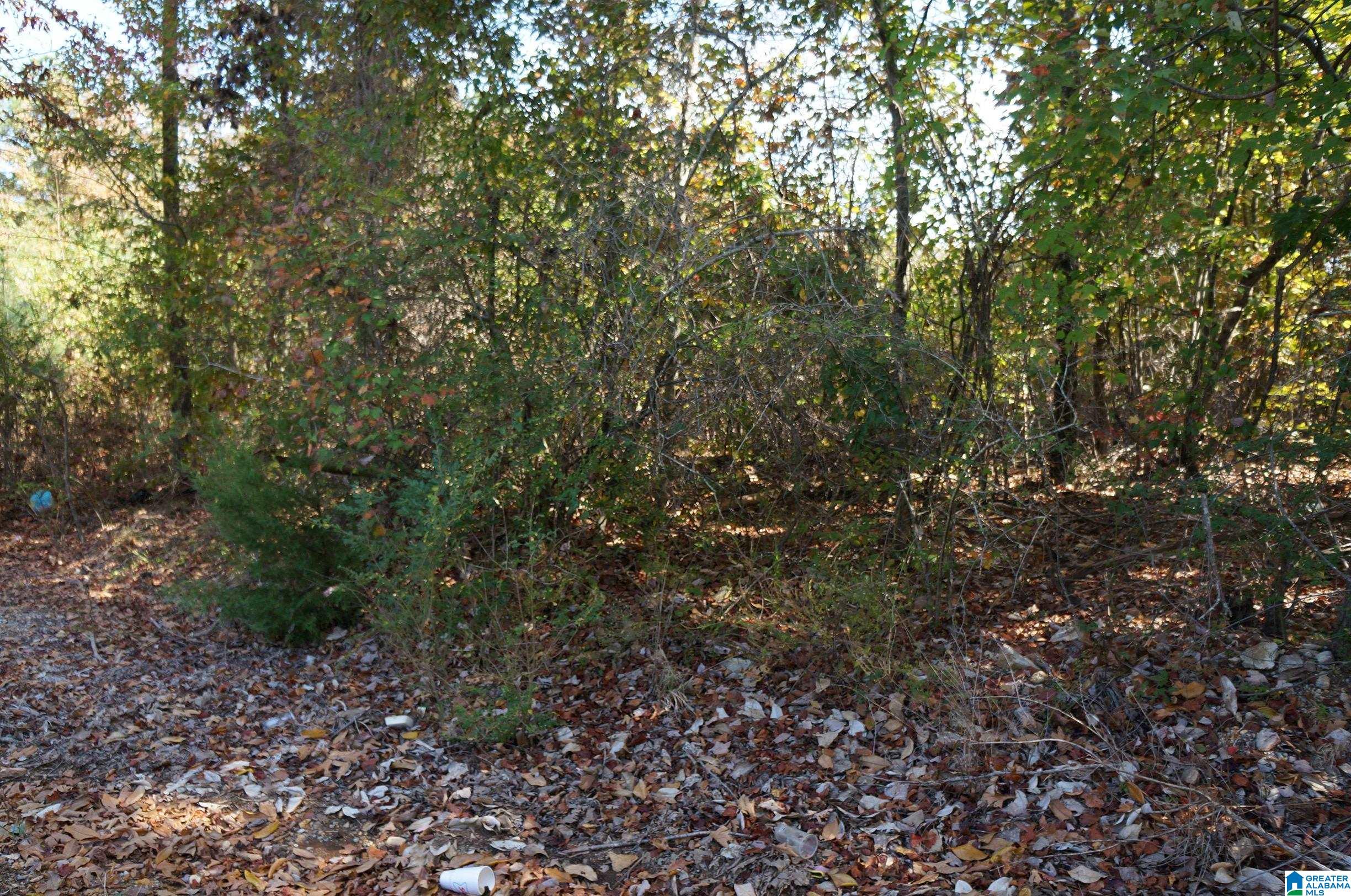 00 FULTON GAP ROAD 0