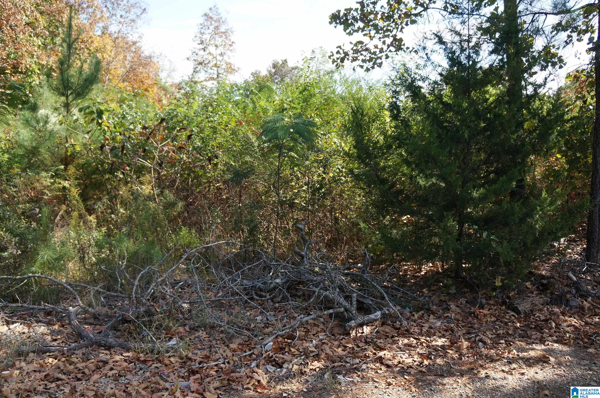 00 FULTON GAP ROAD 0