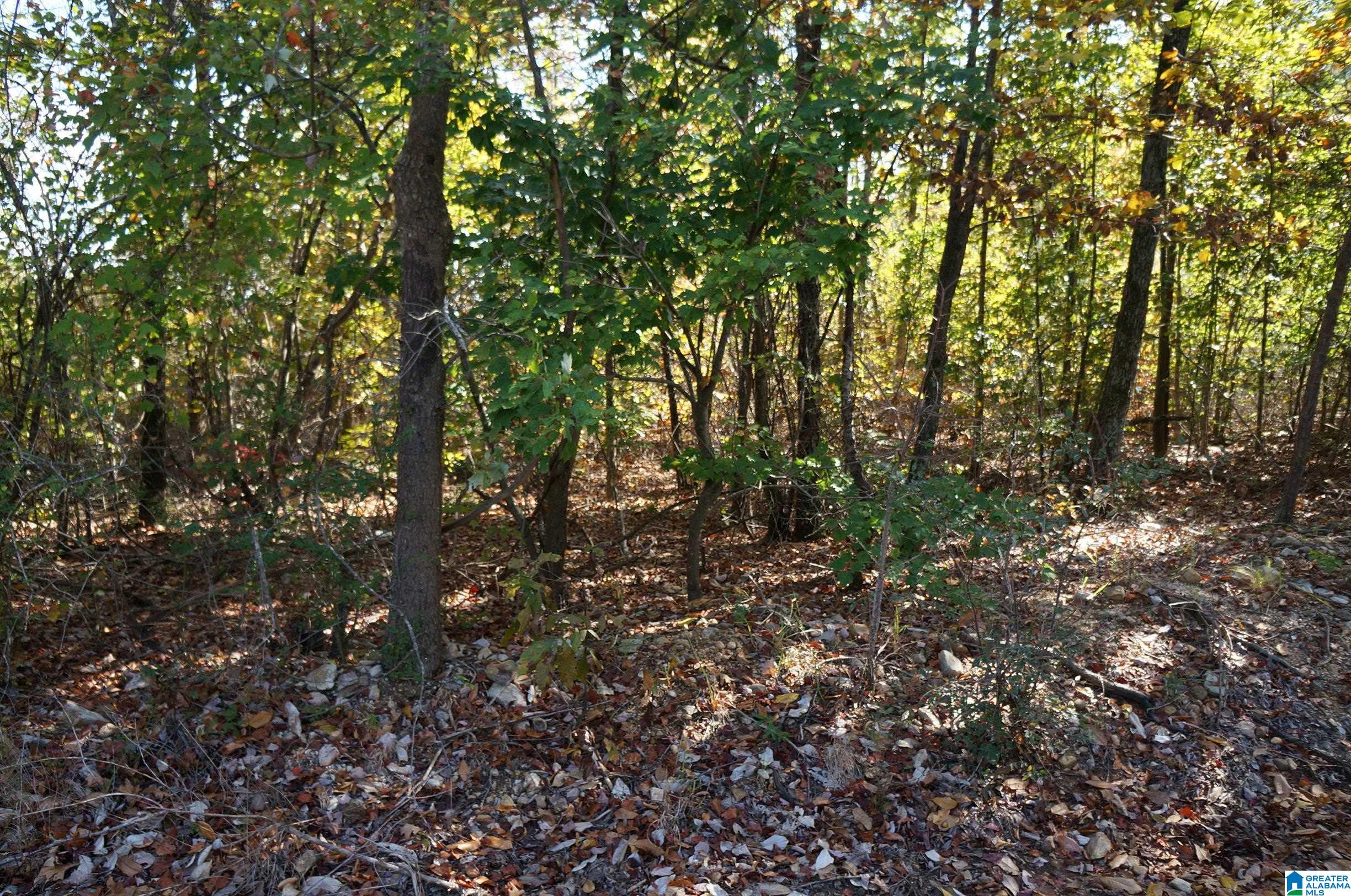 00 FULTON GAP ROAD 0