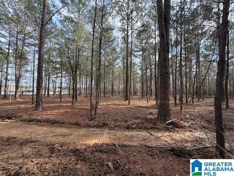 03 CLUB HOUSE ROAD 03 SYLACAUGA AL 35150