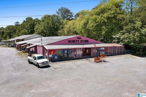 3508 COGSWELL AVENUE PELL CITY AL 35125