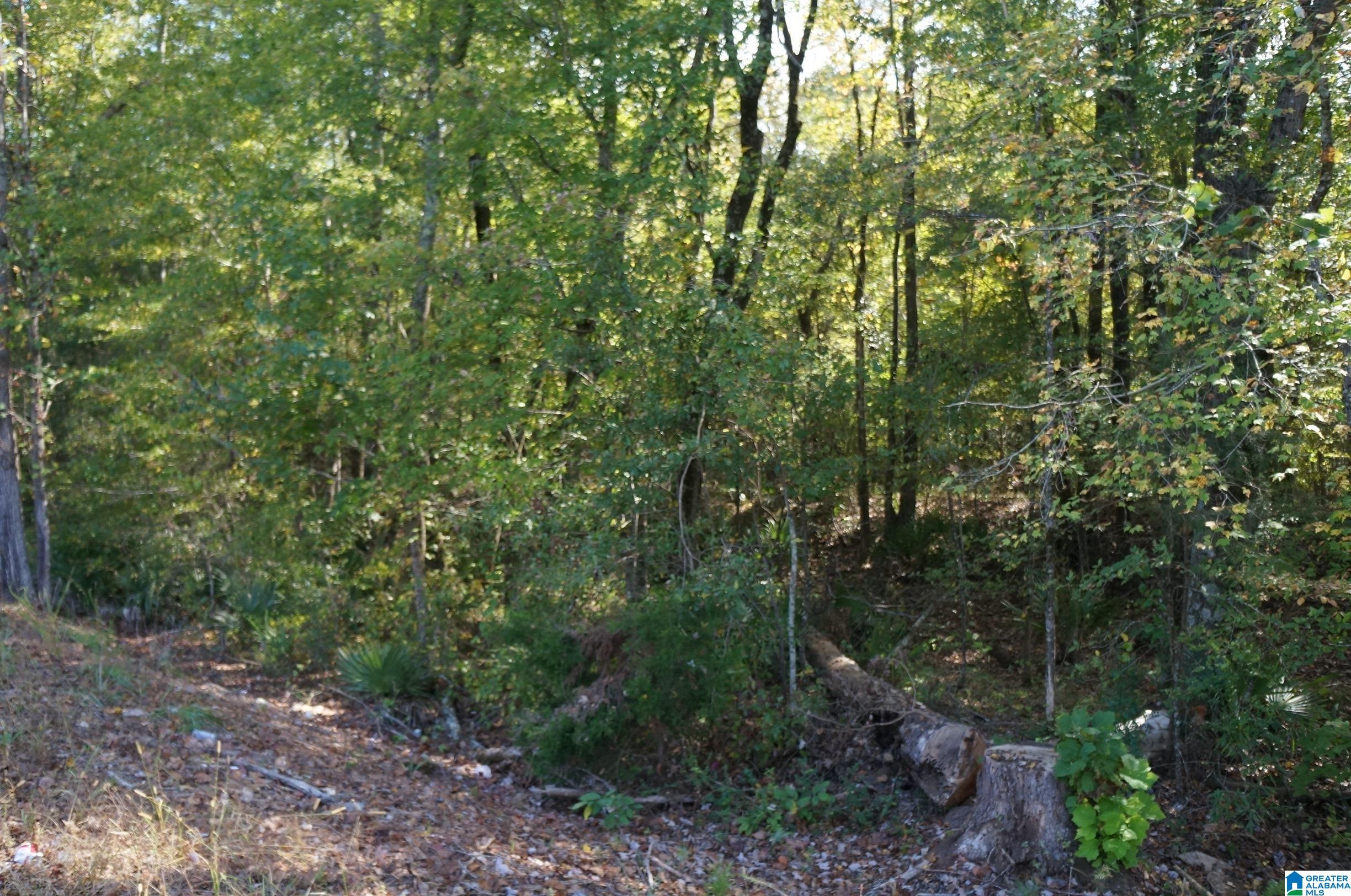 oo OLD FAYETTEVILLE ROAD 0